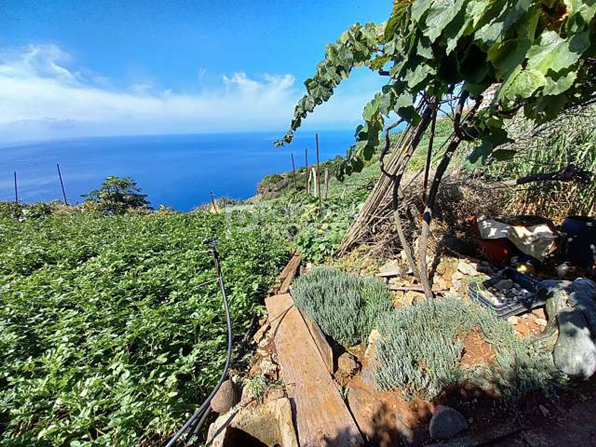 Земельные участки в Ponta Do Sol, Madeira 10166138