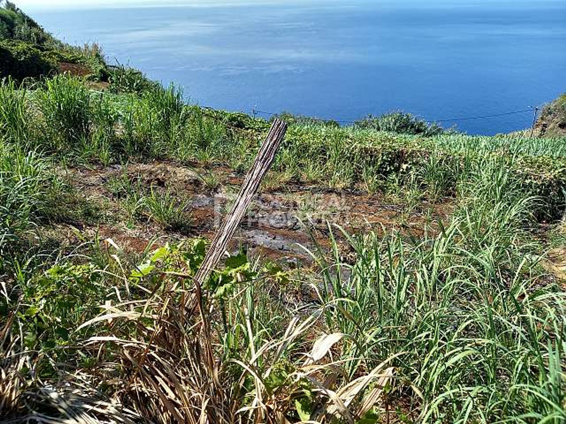 Земельные участки в Ponta Do Sol, Madeira 10166138