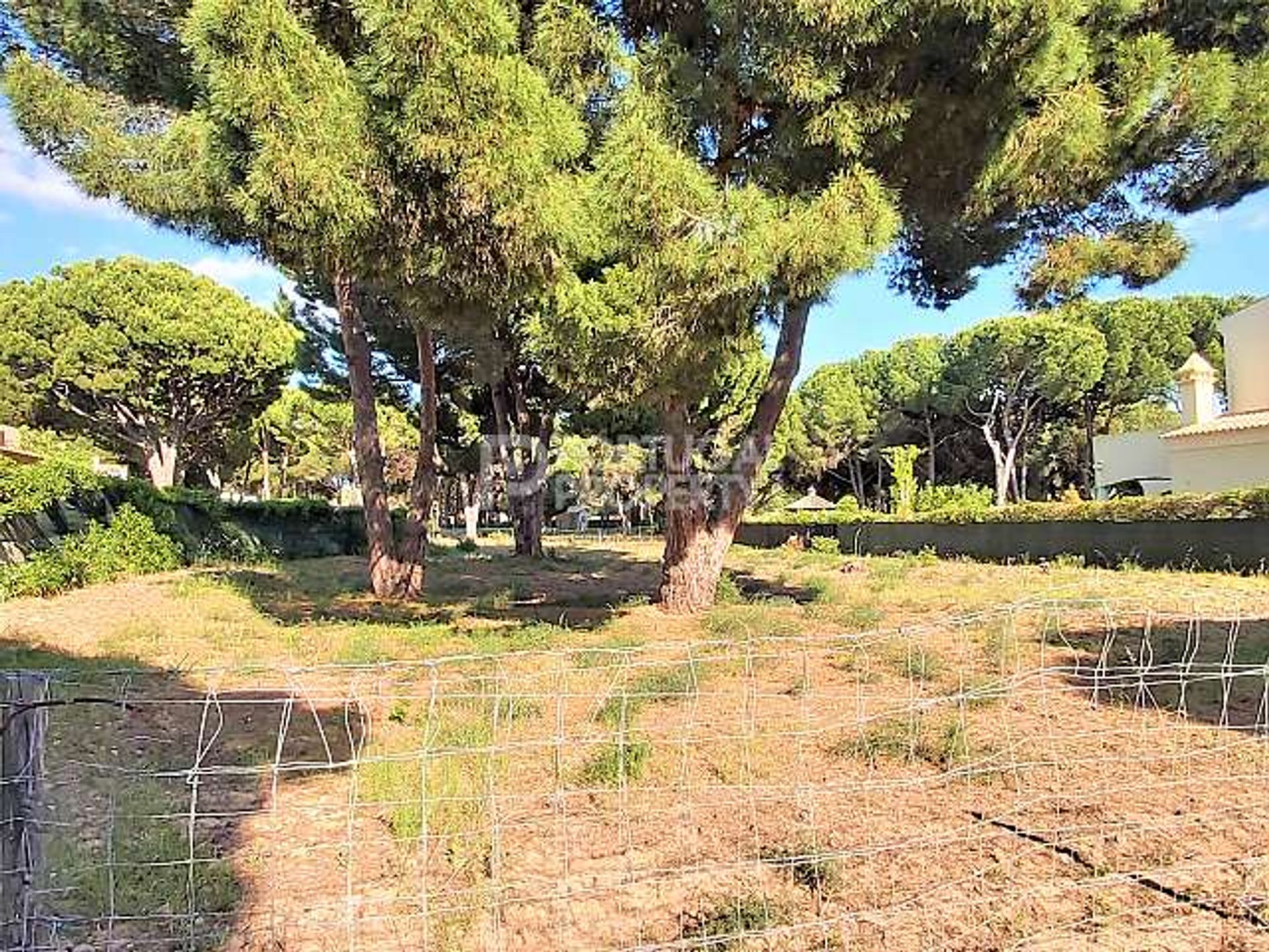 Land in Quarteira, Faro 10166481