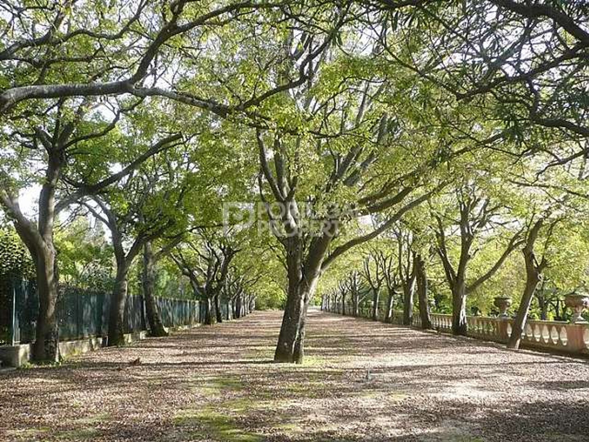 Condominio en Lisbon, Lisbon 10166489