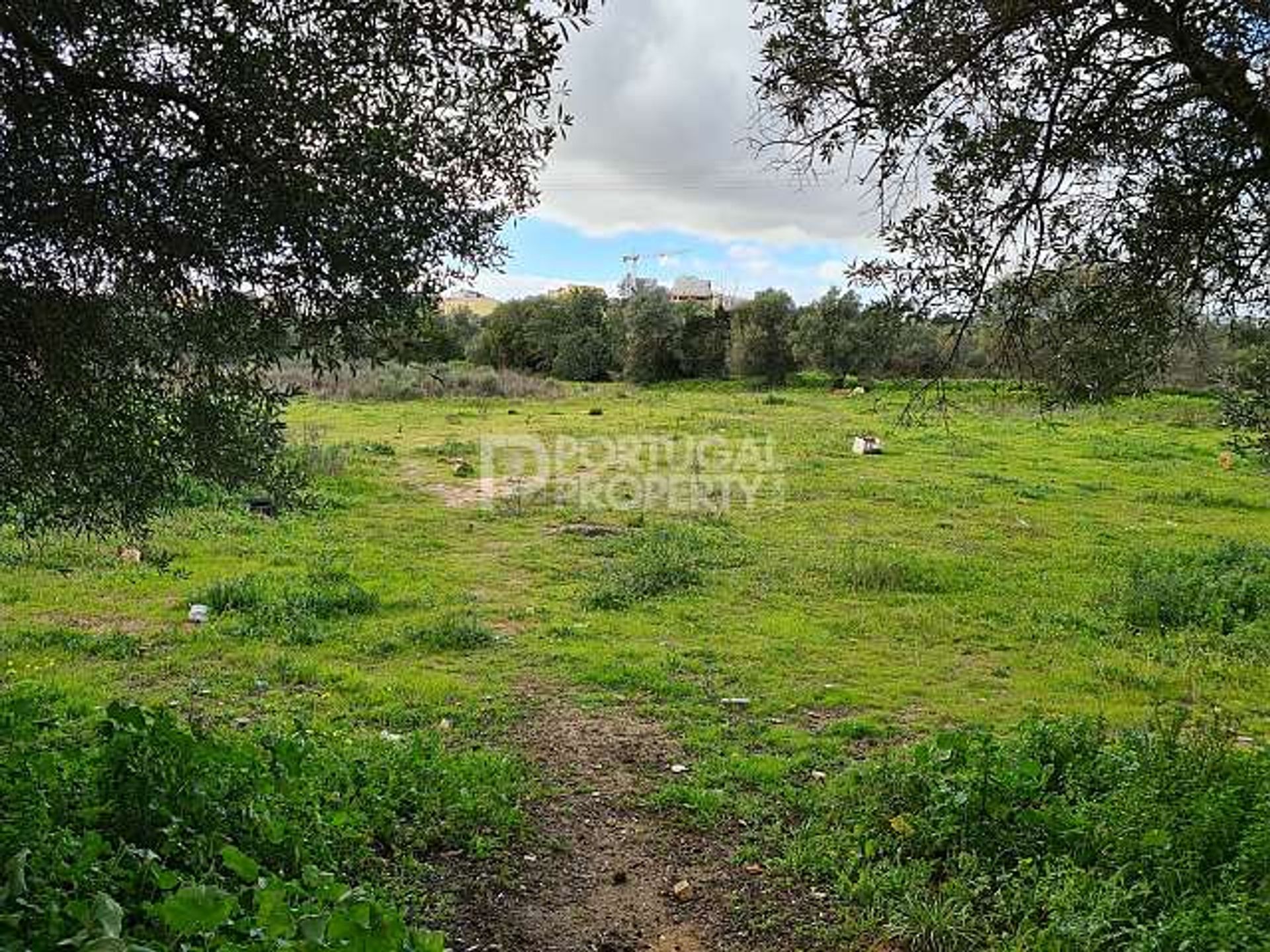 Land i Olhão, Faro District 10166493