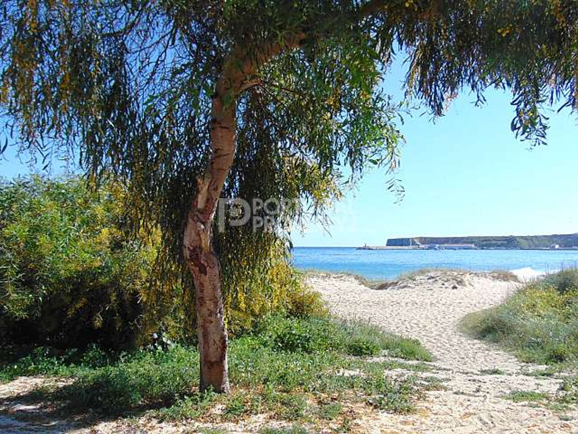 Будинок в Sagres, Faro 10166532