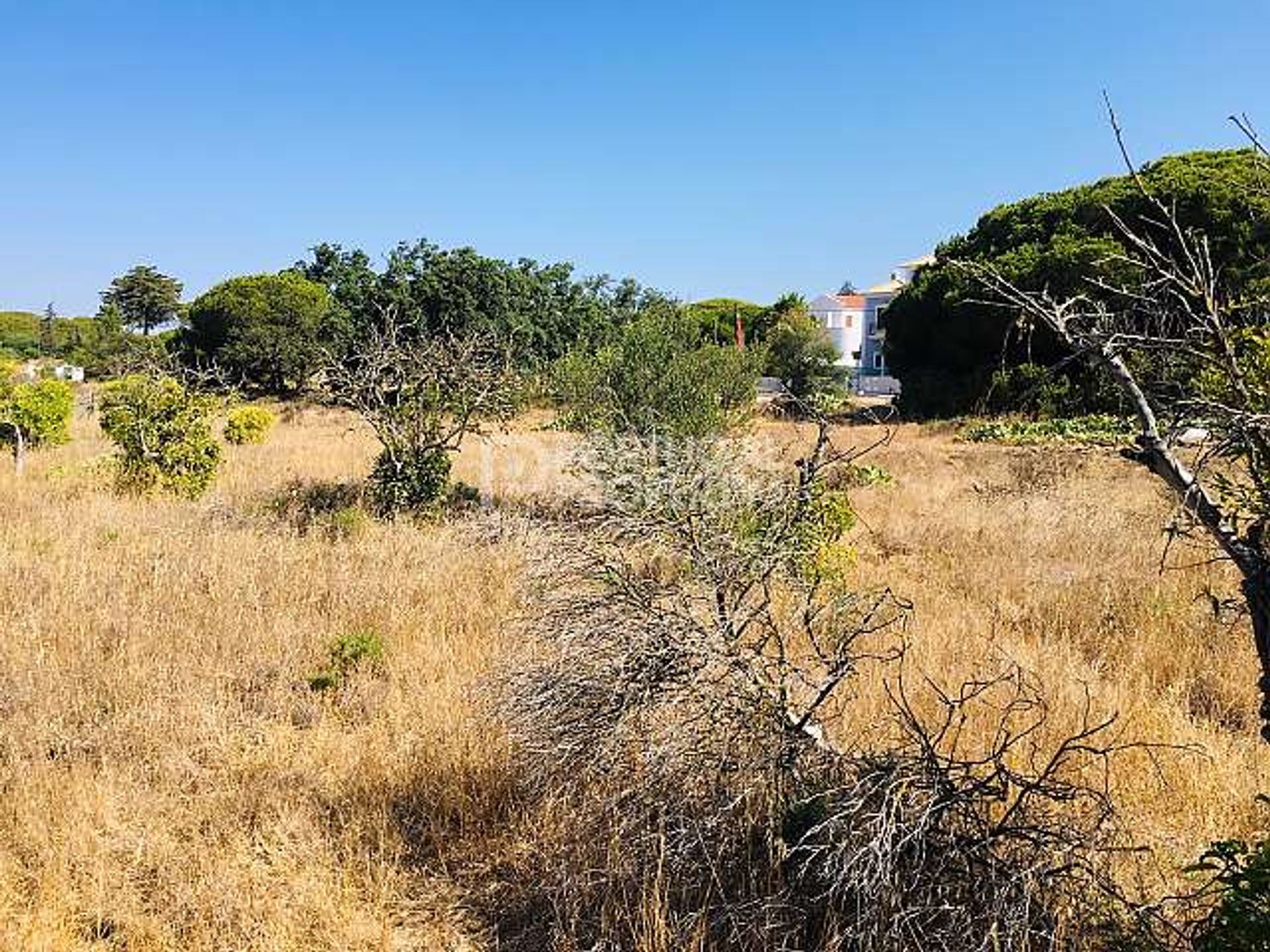 Land in Quarteira, Faro 10166560