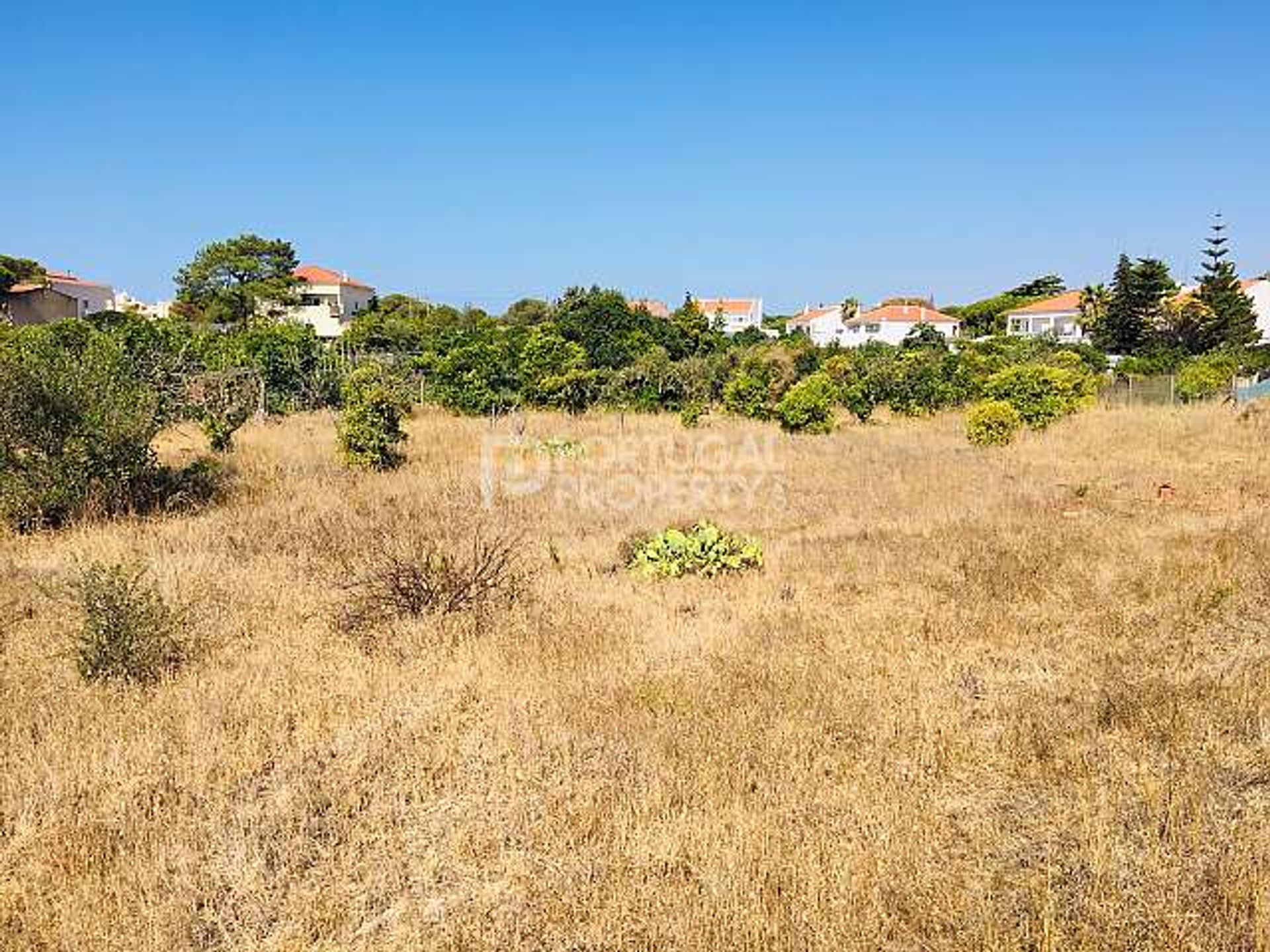 Land in Quarteira, Faro 10166560