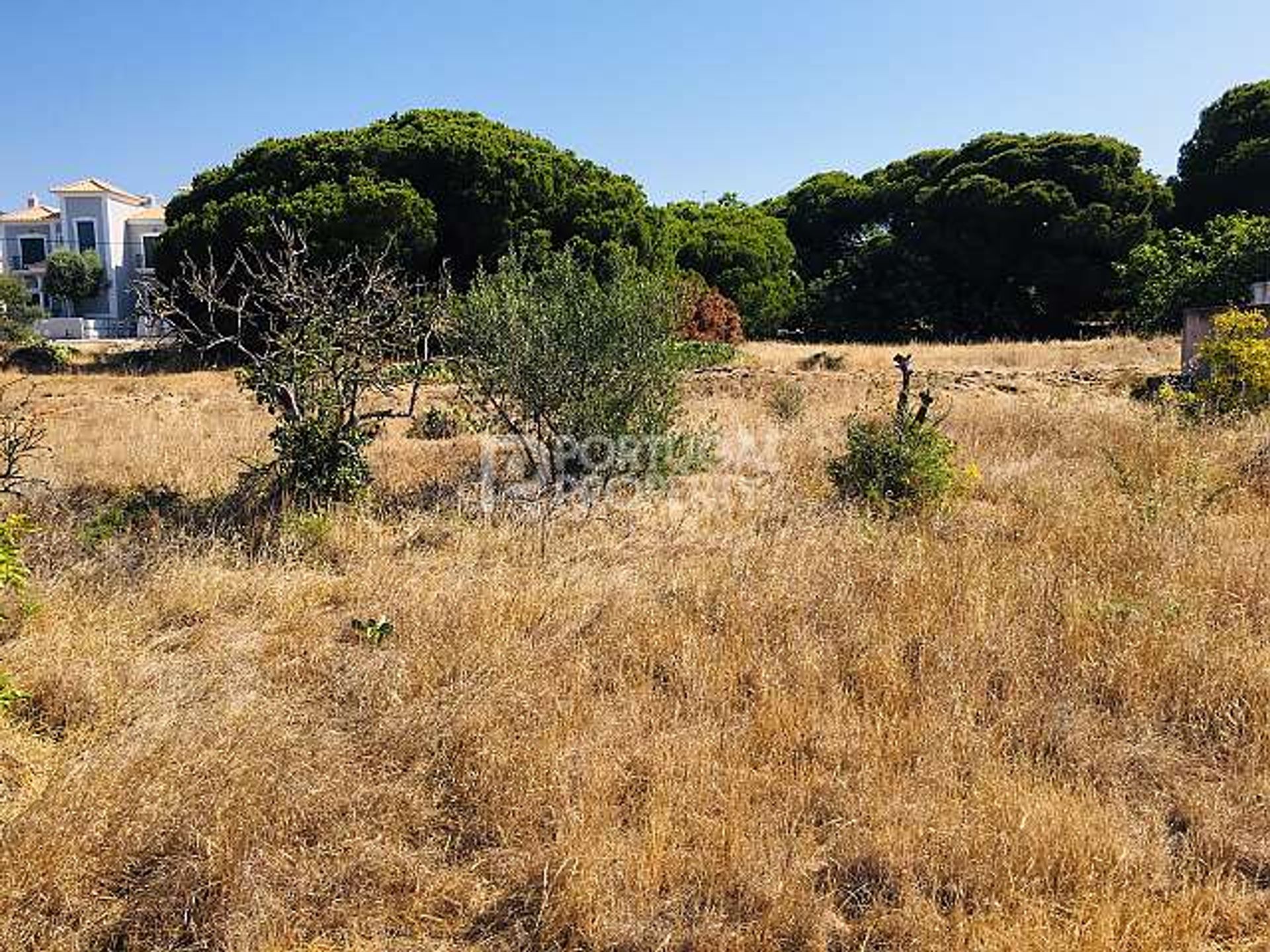 Land in Quarteira, Faro 10166560