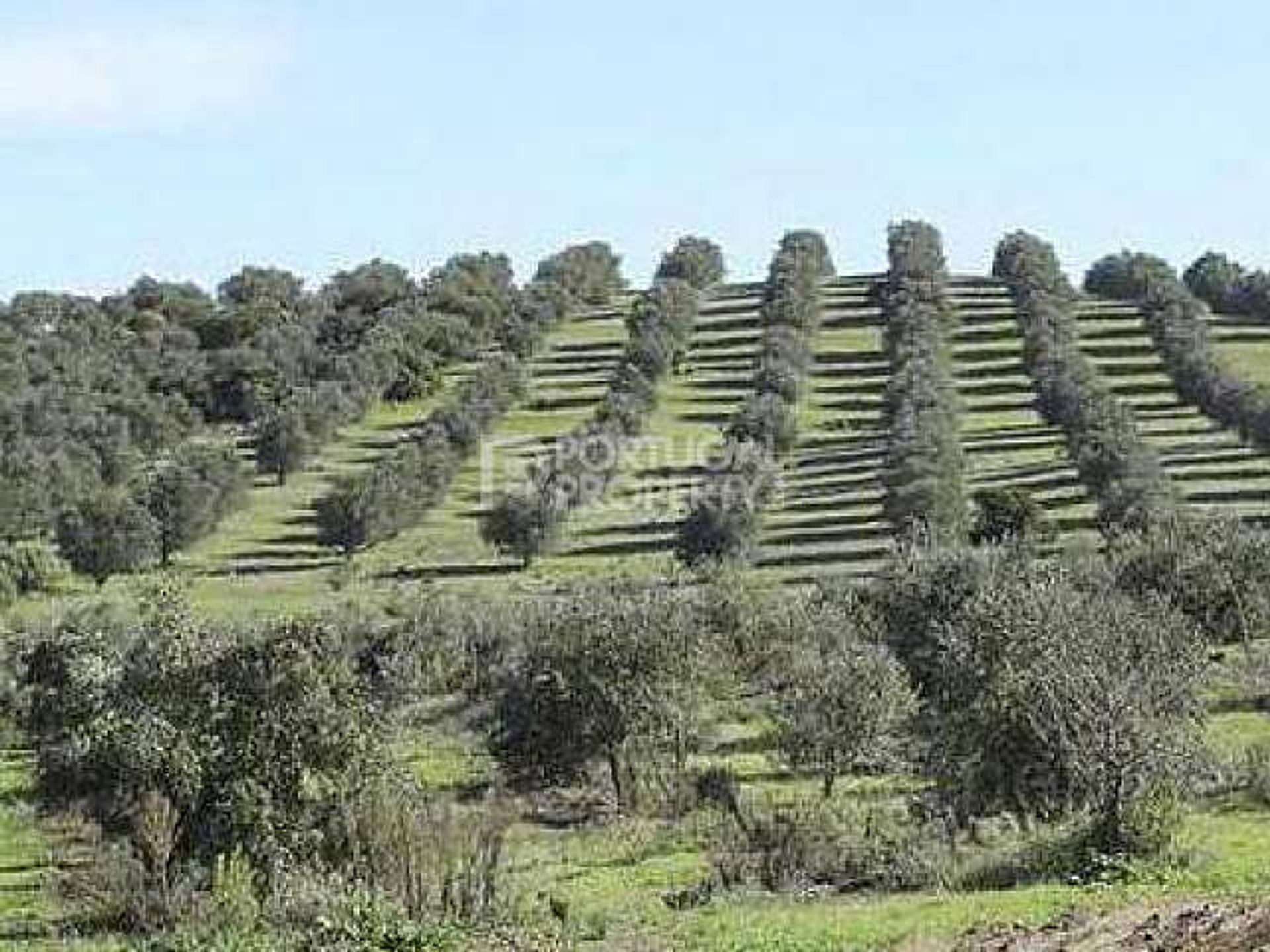 Land in Aveiro, 23 Rua de Coimbra 10166918