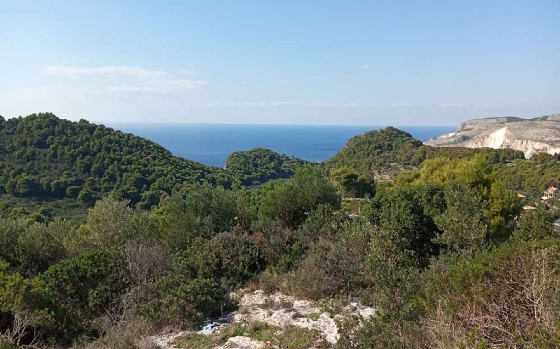 Tierra en bochalí, Jonia Nisia 10167499