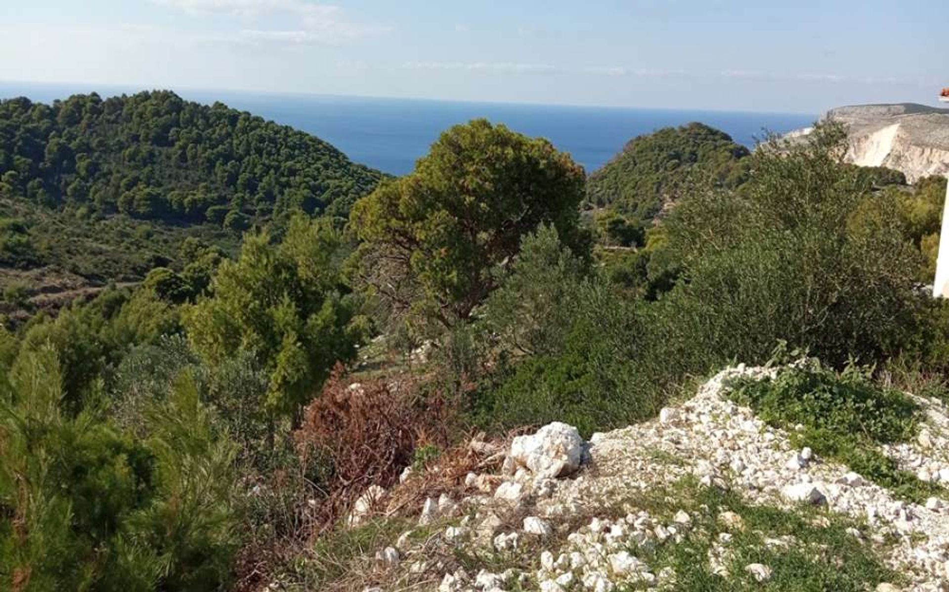 Tierra en bochalí, Jonia Nisia 10167499