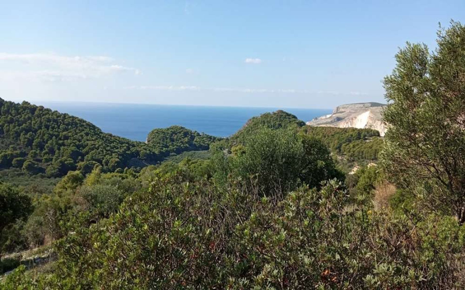 Tierra en bochalí, Jonia Nisia 10167499