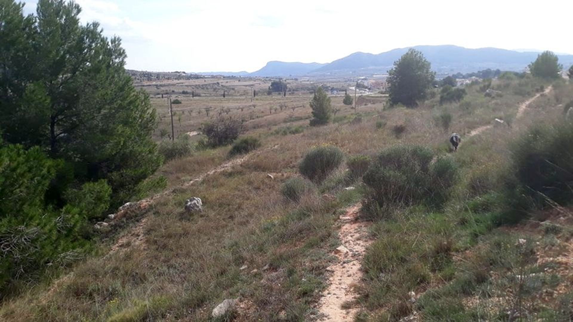 casa en La Romana, Alicante, Valencian Community 10167505