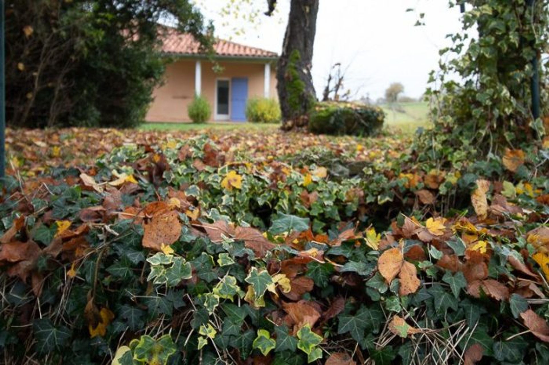 rumah dalam Montesquiou, Occitanie 10167700