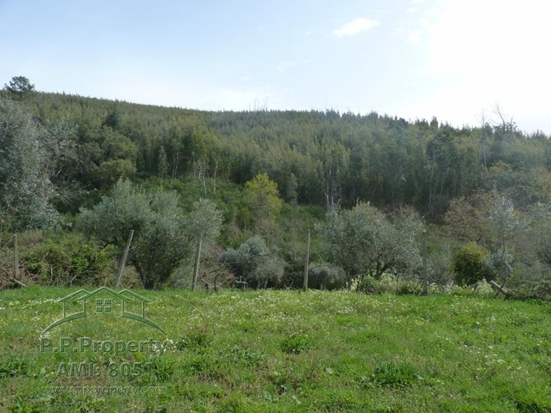 Casa nel Castanheira de Pêra, Leiria District 10167705