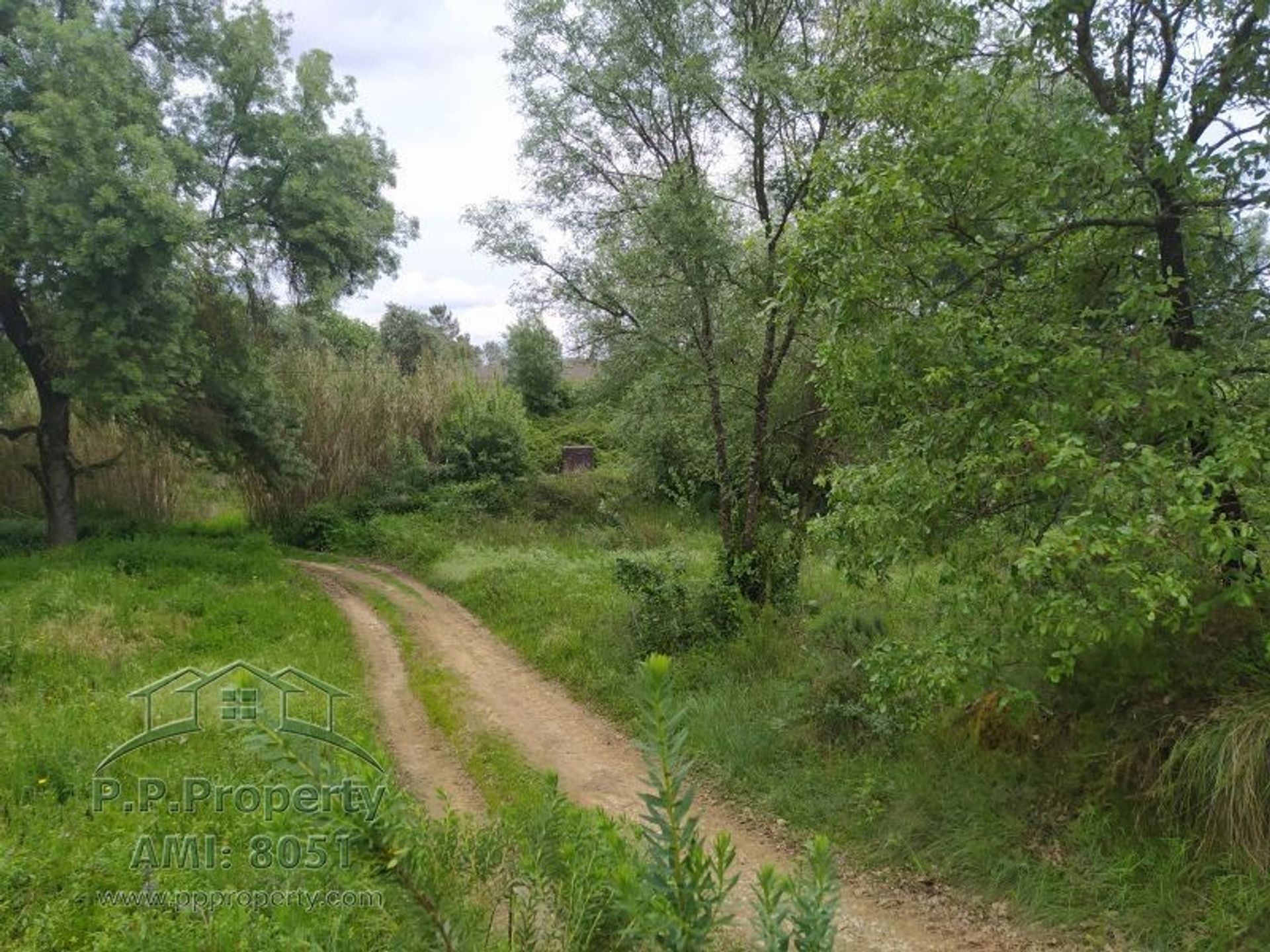 بيت في Torres Novas, Santarém 10167718