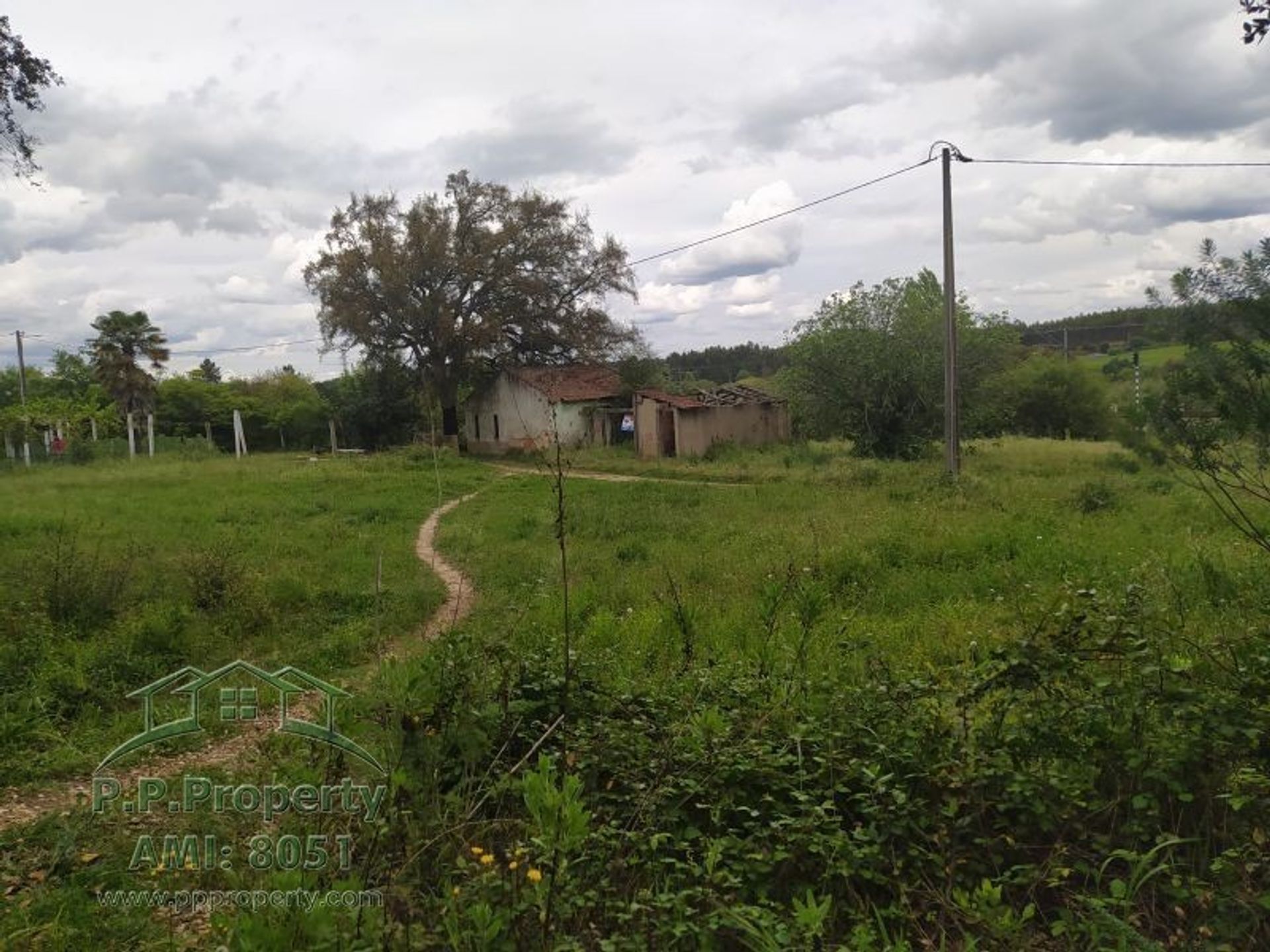 House in Torres Novas, Santarém 10167718