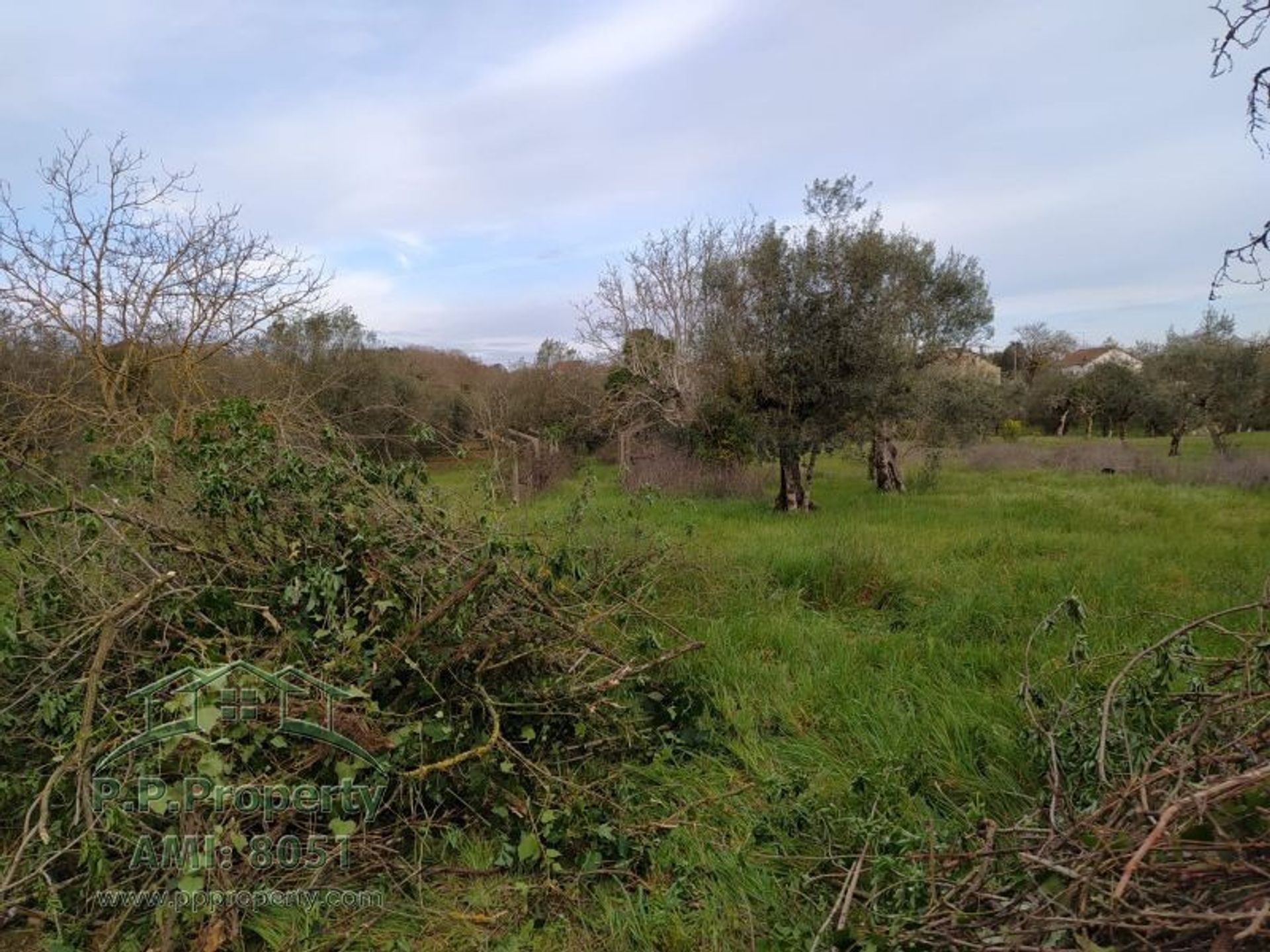 집 에 Ferreira do Zêzere, Santarém District 10167909