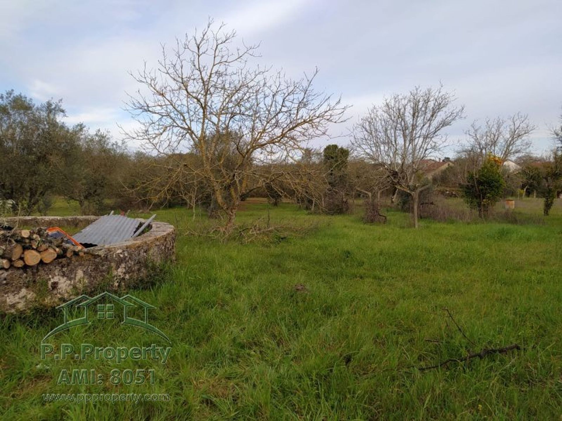 House in Ferreira do Zêzere, Santarém District 10167909