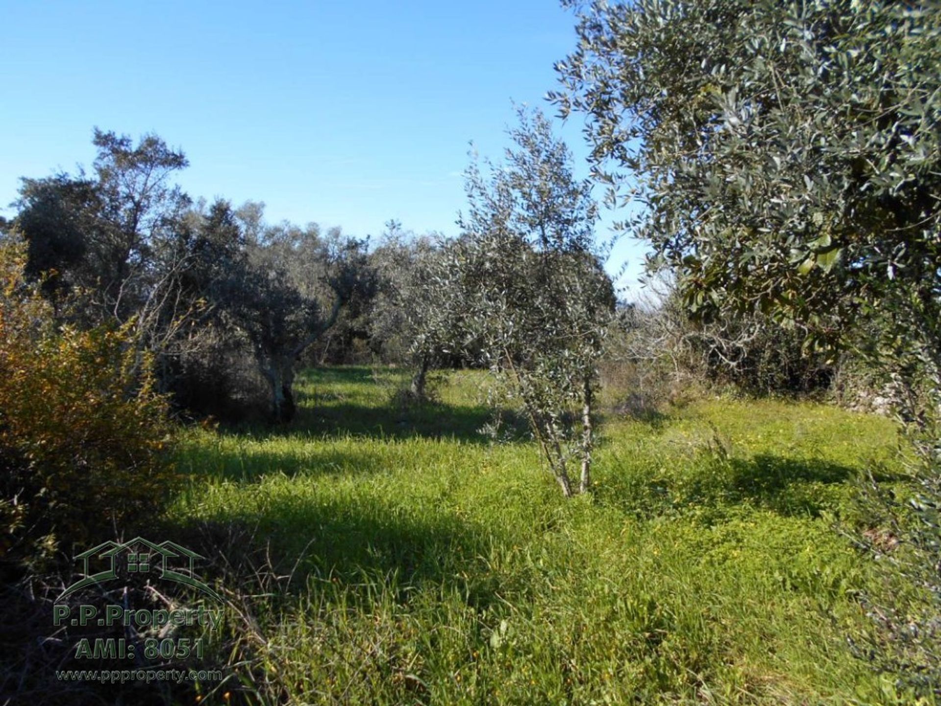 بيت في Ansião, Leiria District 10167918