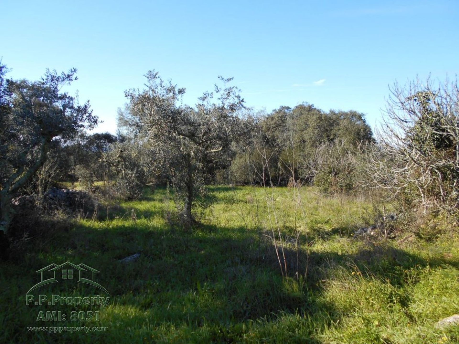 بيت في Ansião, Leiria District 10167918