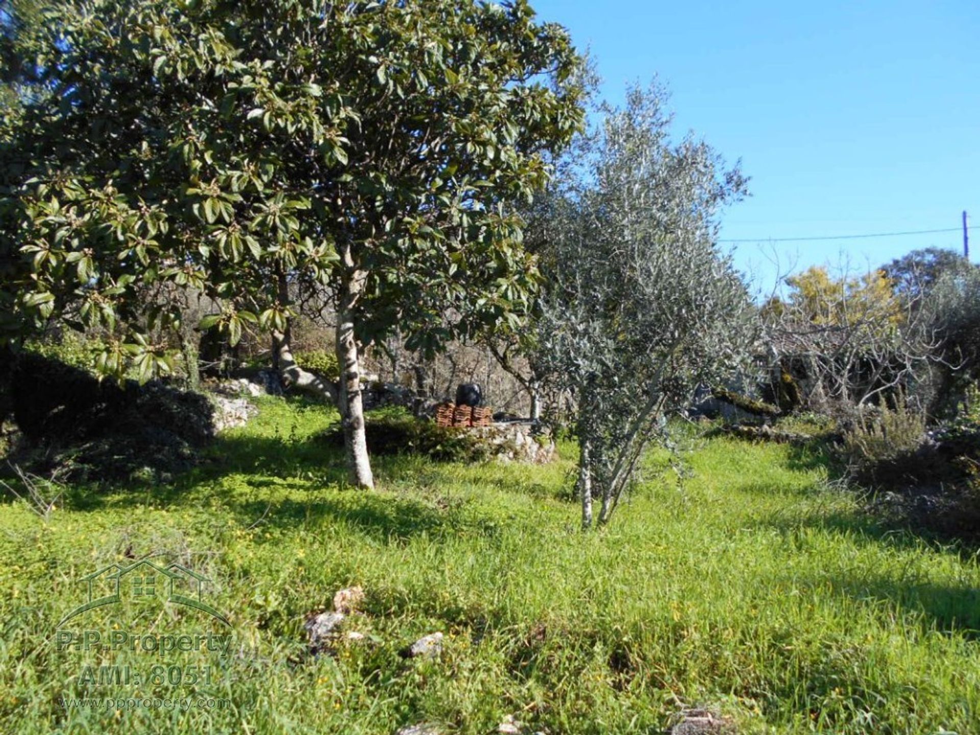 بيت في Ansião, Leiria District 10167918