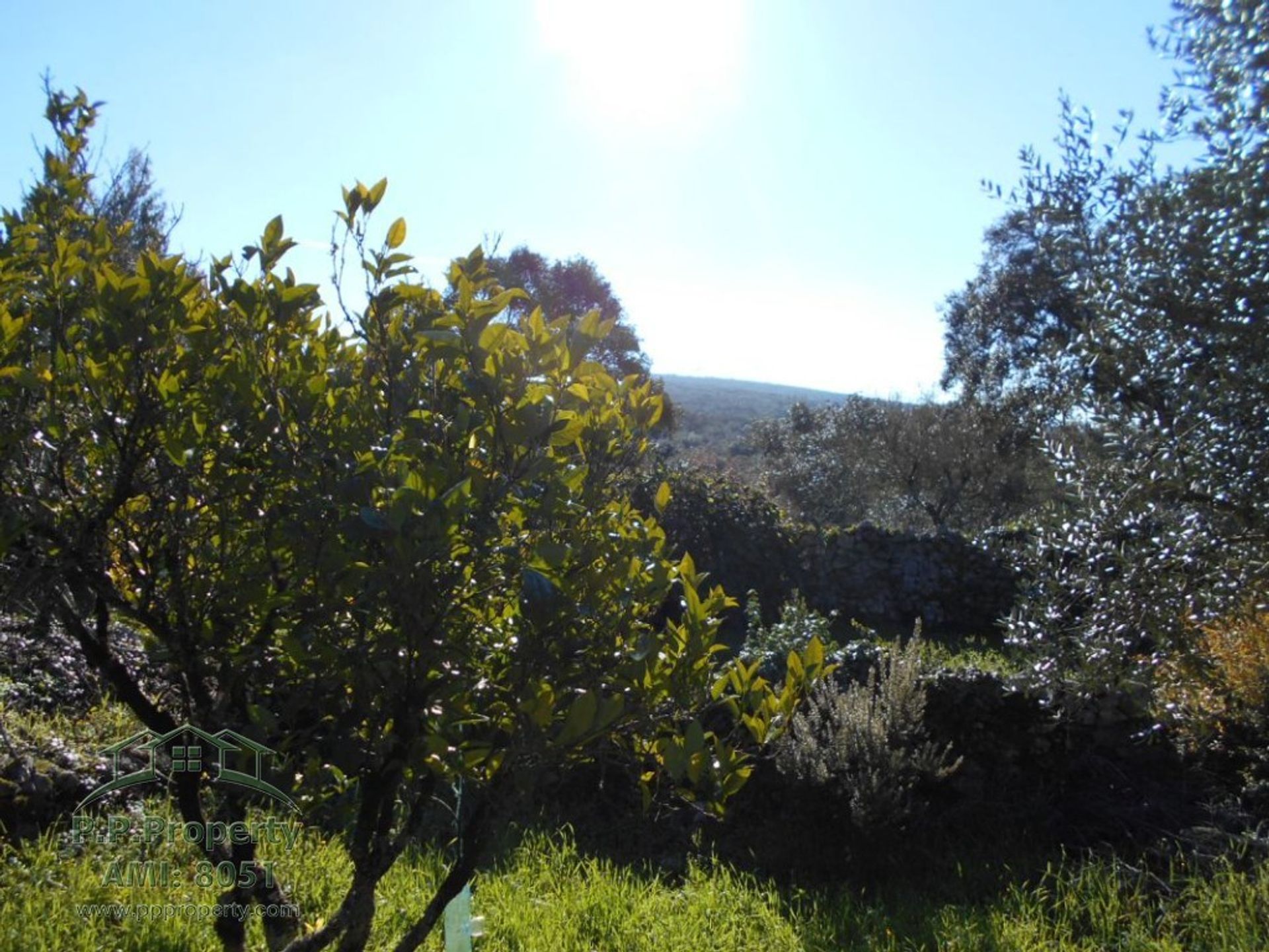 بيت في Ansião, Leiria District 10167918