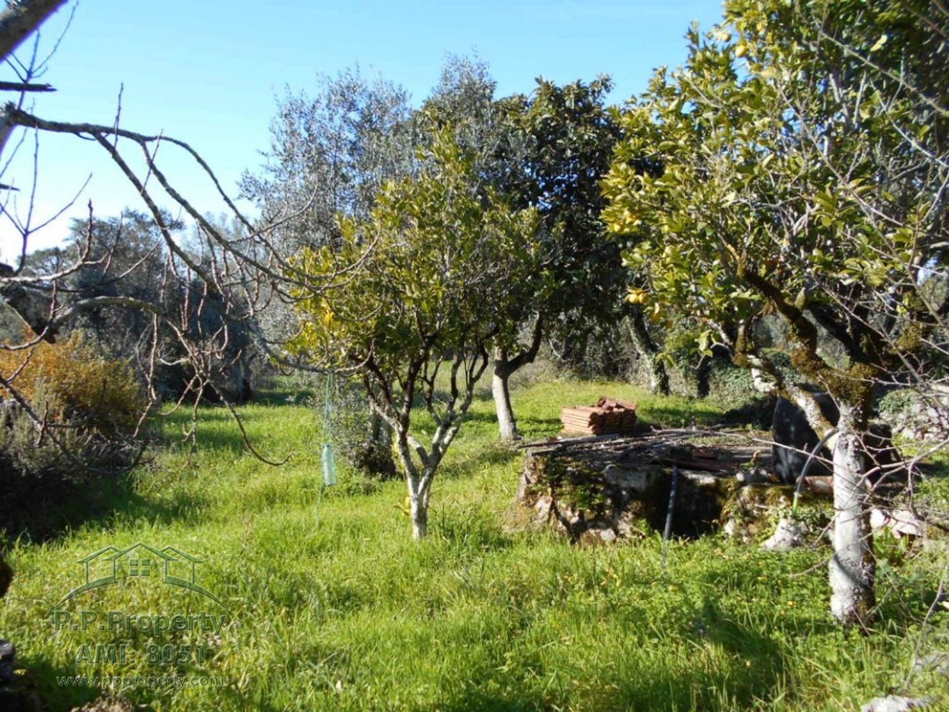 بيت في Ansião, Leiria District 10167918