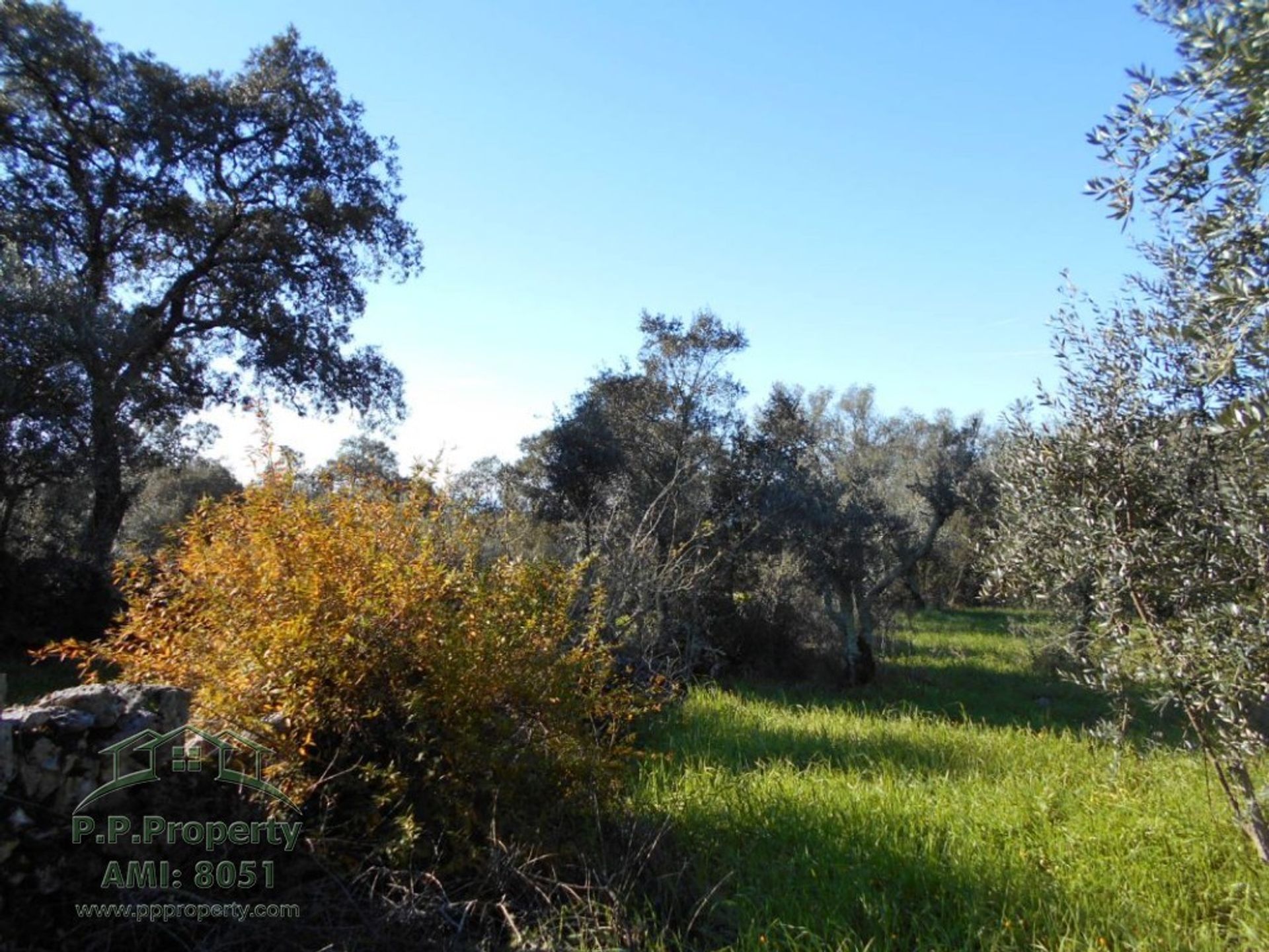 بيت في Ansião, Leiria District 10167918