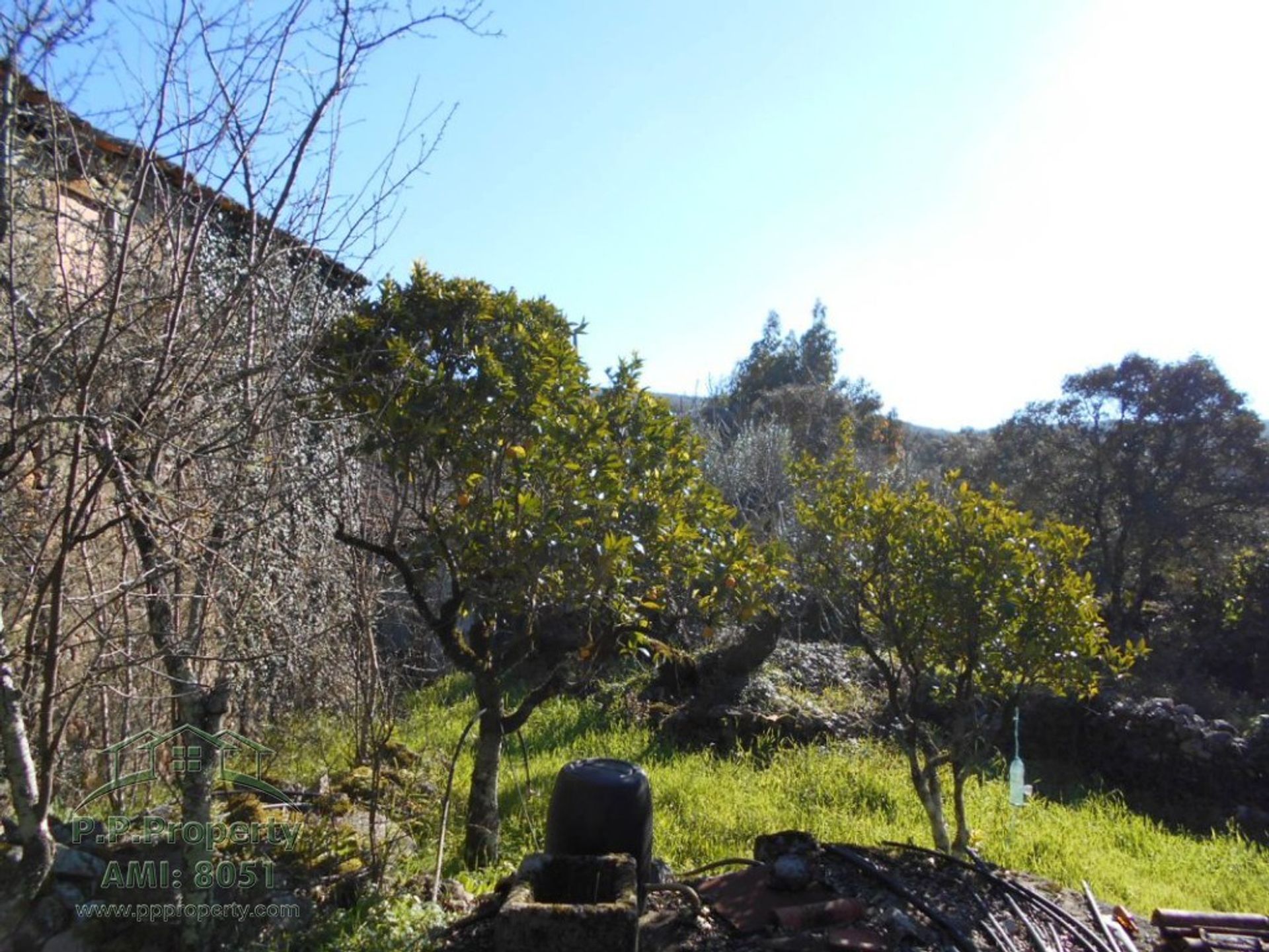 بيت في Ansião, Leiria District 10167918