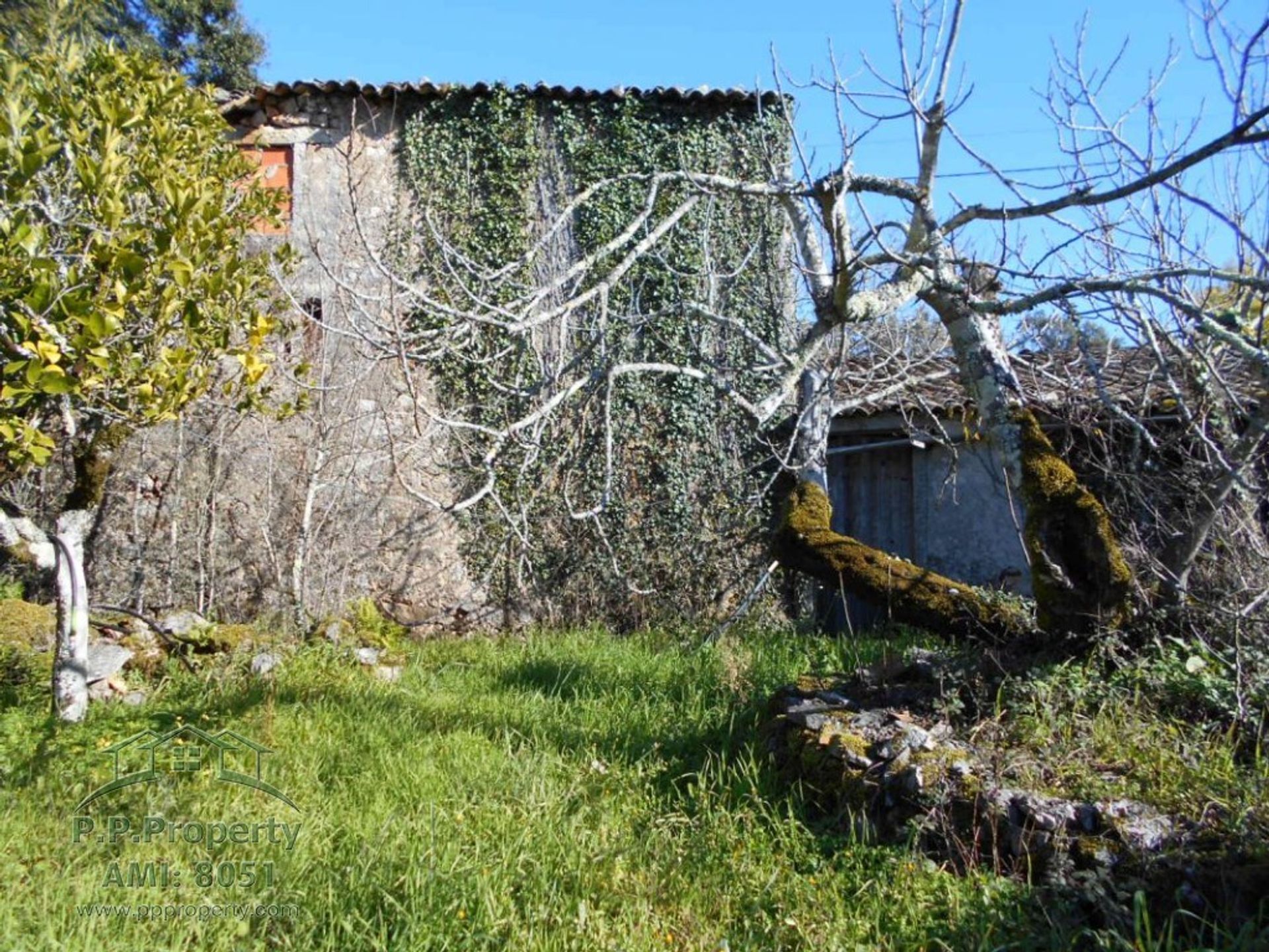 بيت في Ansião, Leiria District 10167918