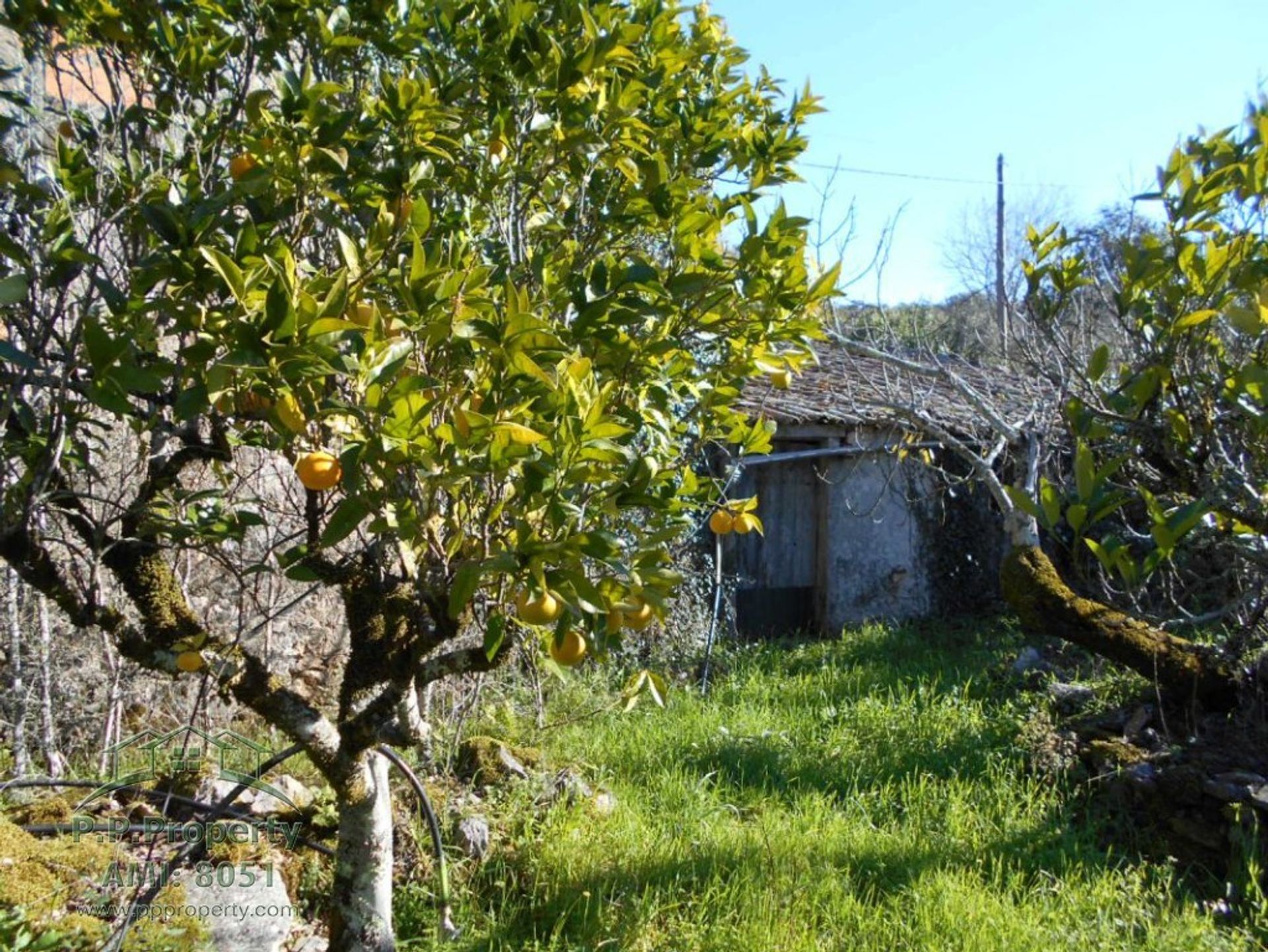 بيت في Ansião, Leiria District 10167918