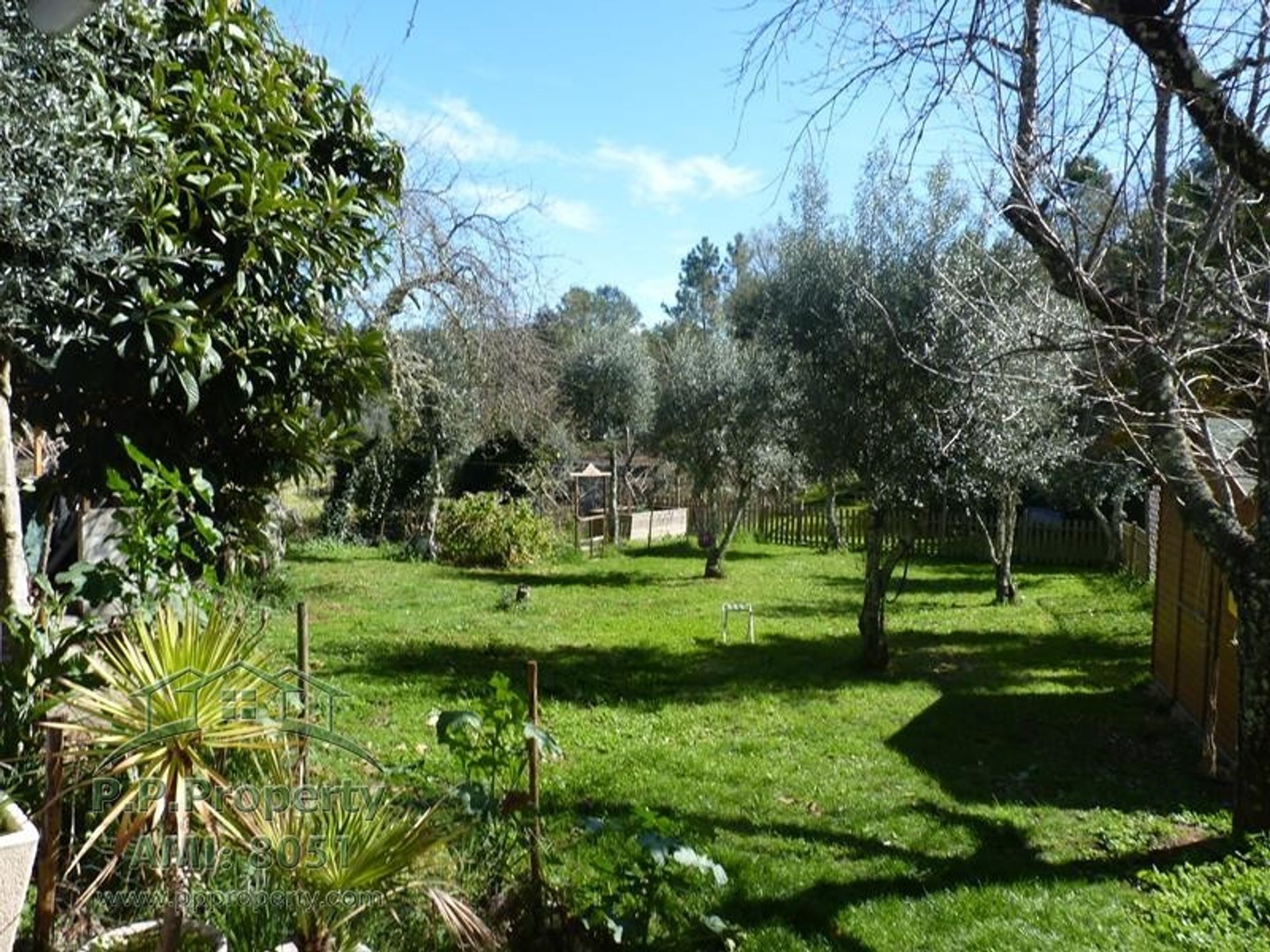 Casa nel Cernache do Bonjardim, Castelo Branco 10167936