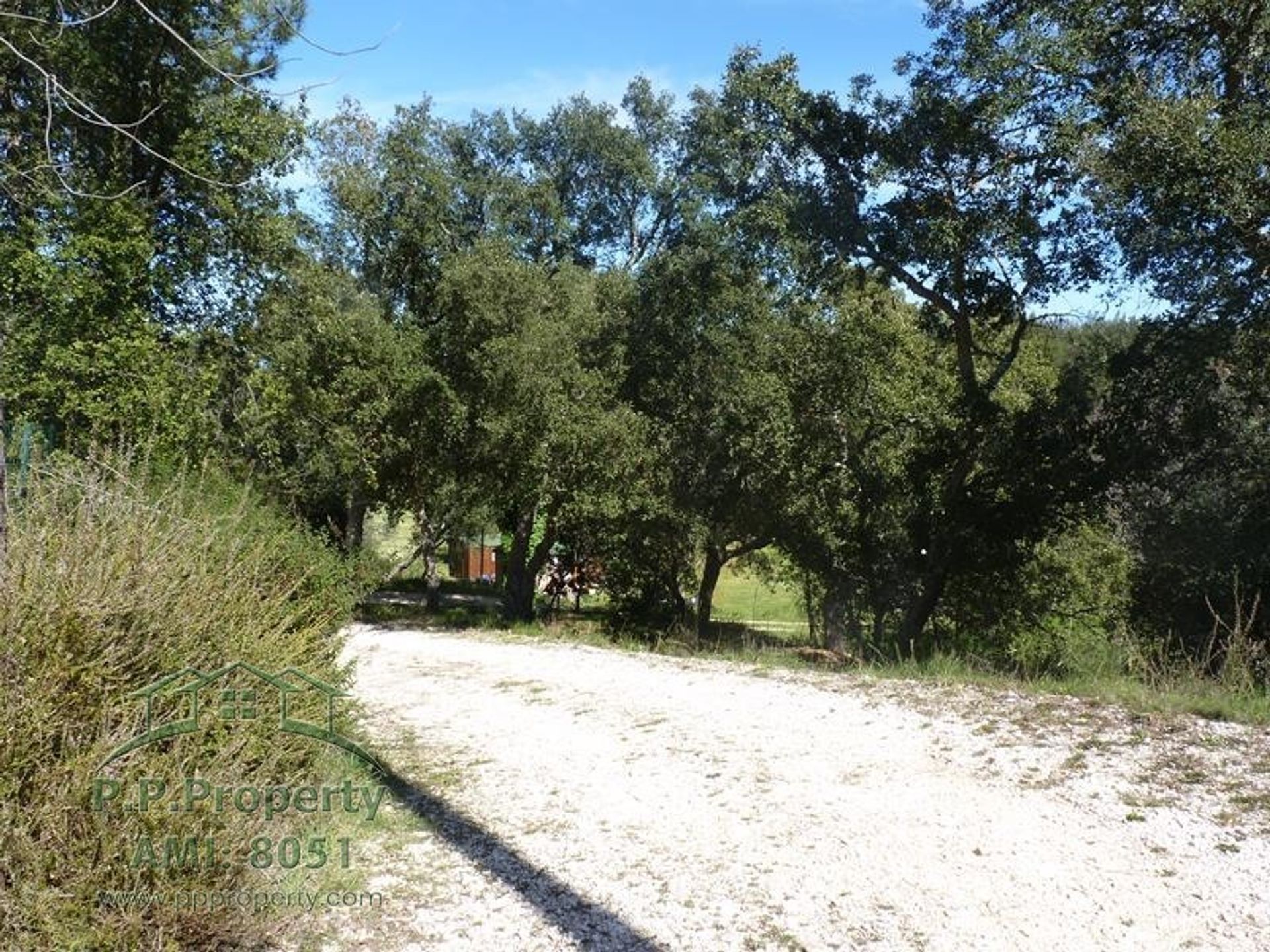 casa no Cernache do Bonjardim, Castelo Branco 10167936