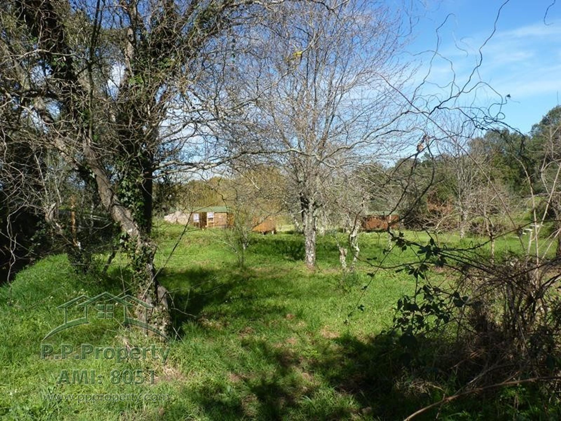 Casa nel Cernache do Bonjardim, Castelo Branco 10167936