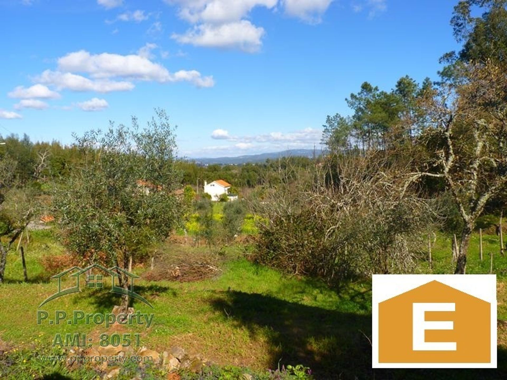 Casa nel Sernache do Bomjardim, Castello Branco 10167936