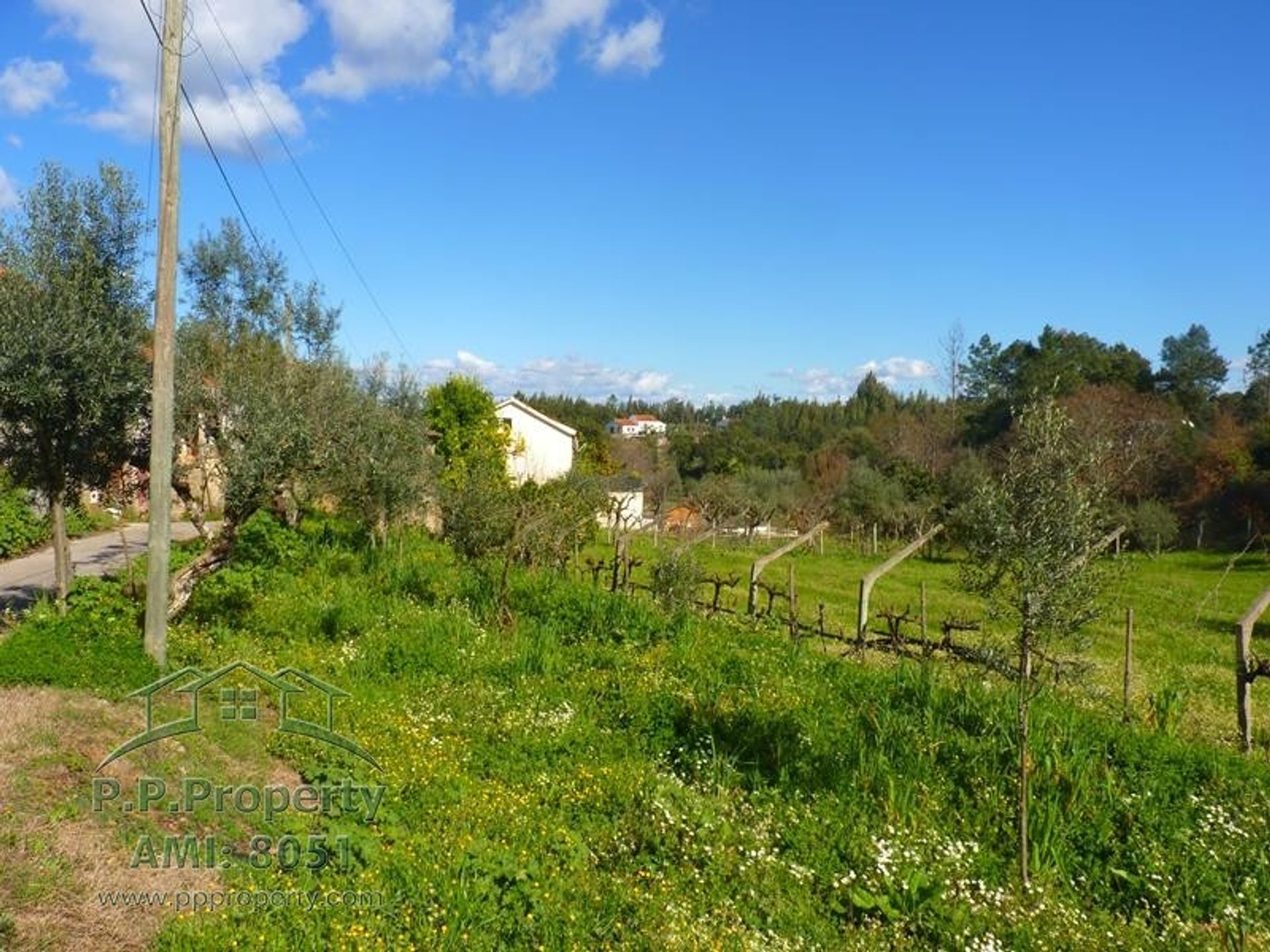 Huis in Cernache do Bonjardim, Castelo Branco 10167936