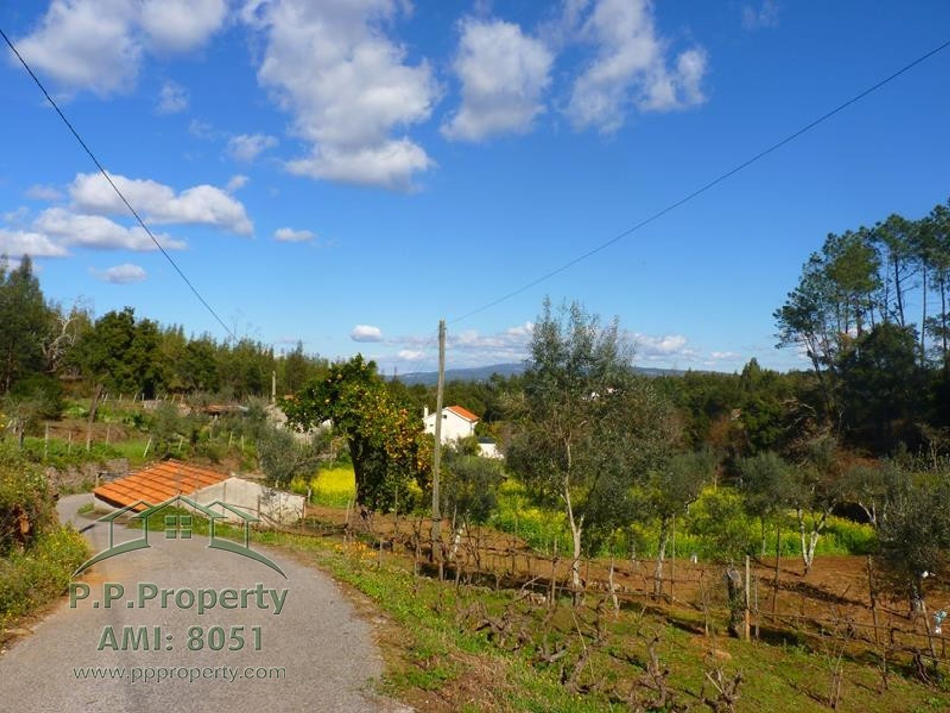 Casa nel Cernache do Bonjardim, Castelo Branco 10167936