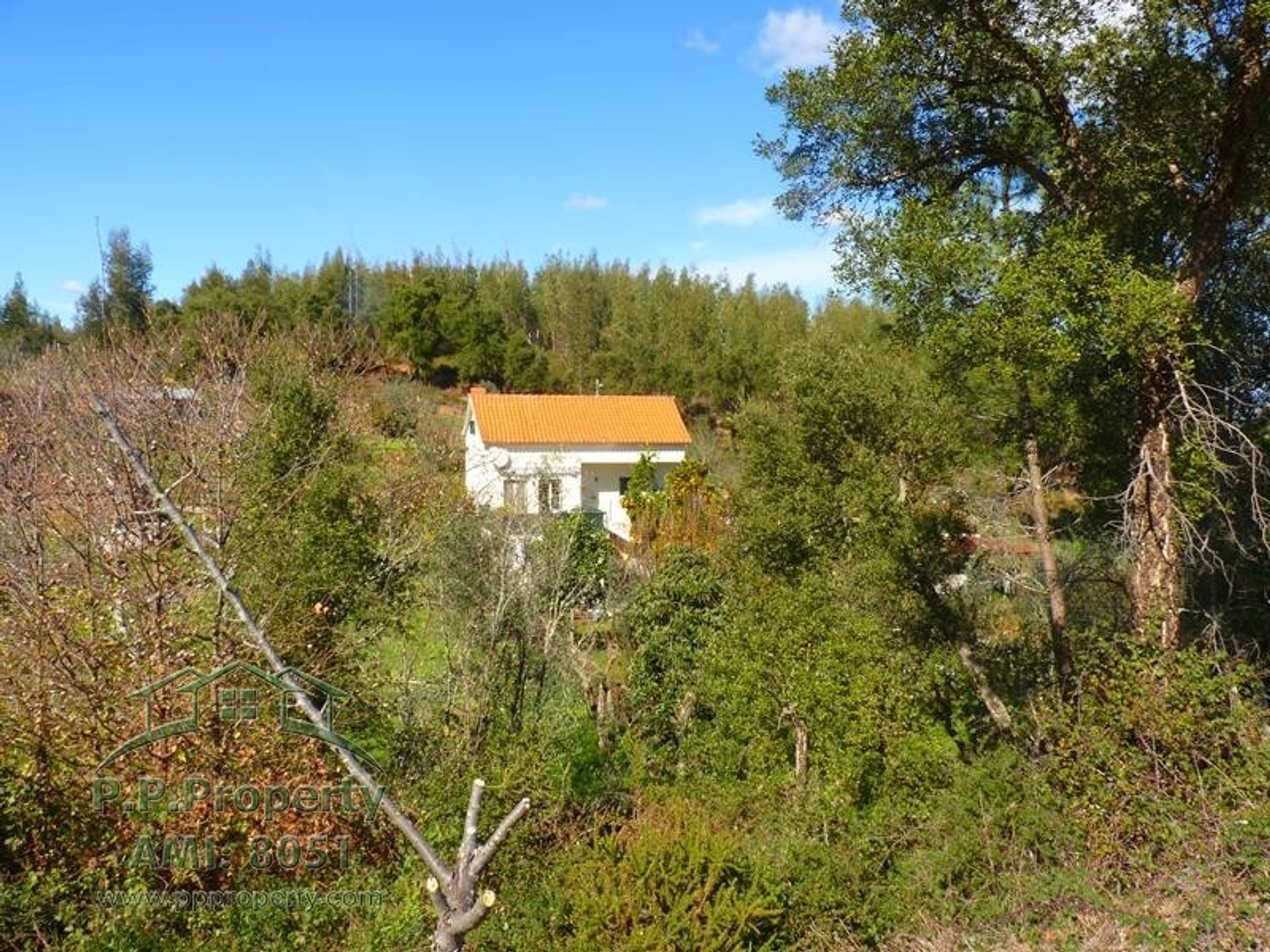 Huis in Cernache do Bonjardim, Castelo Branco 10167936