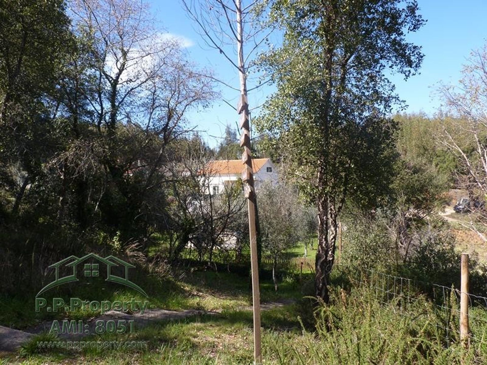 Casa nel Cernache do Bonjardim, Castelo Branco 10167936