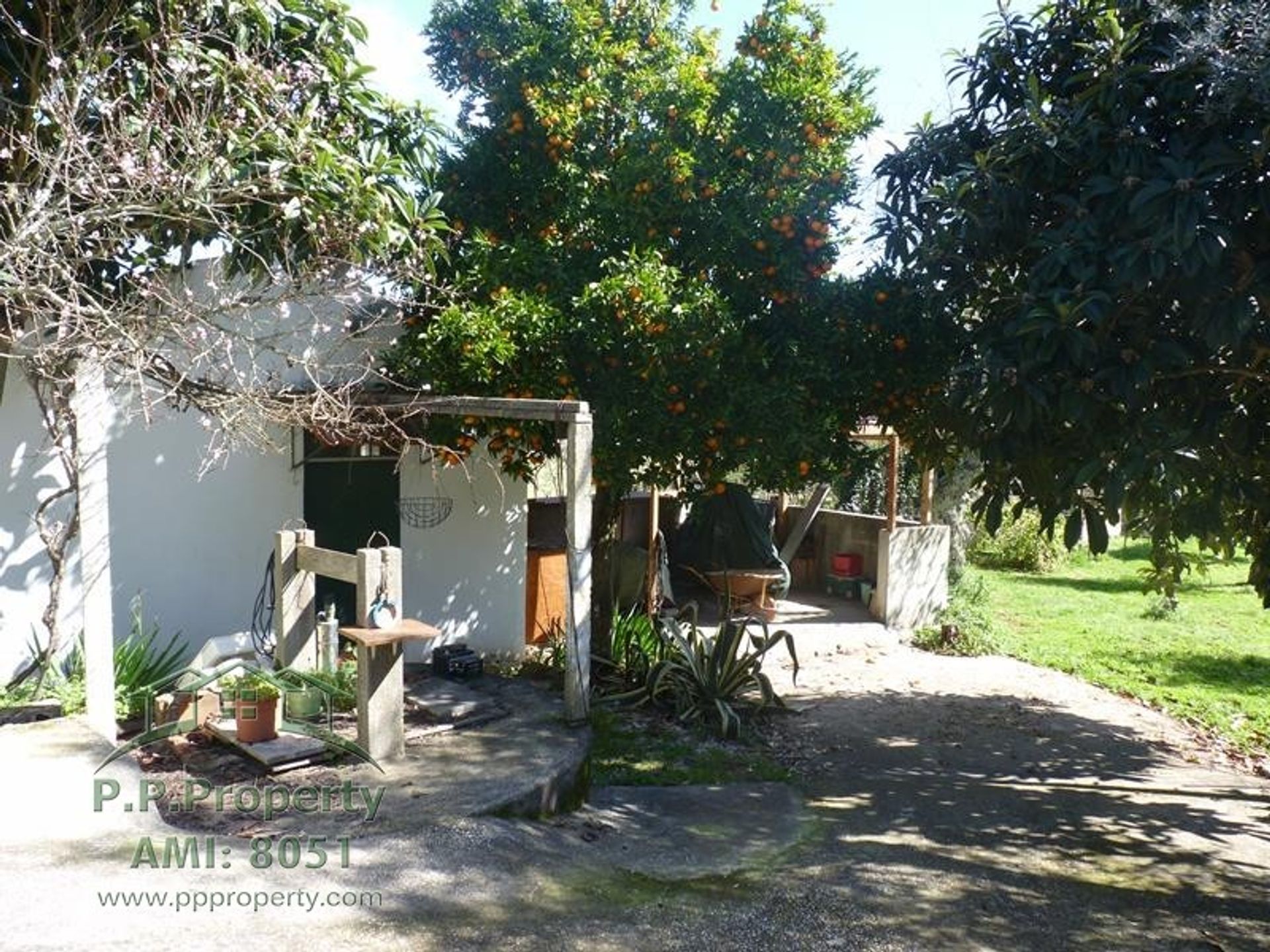 casa no Cernache do Bonjardim, Castelo Branco 10167936