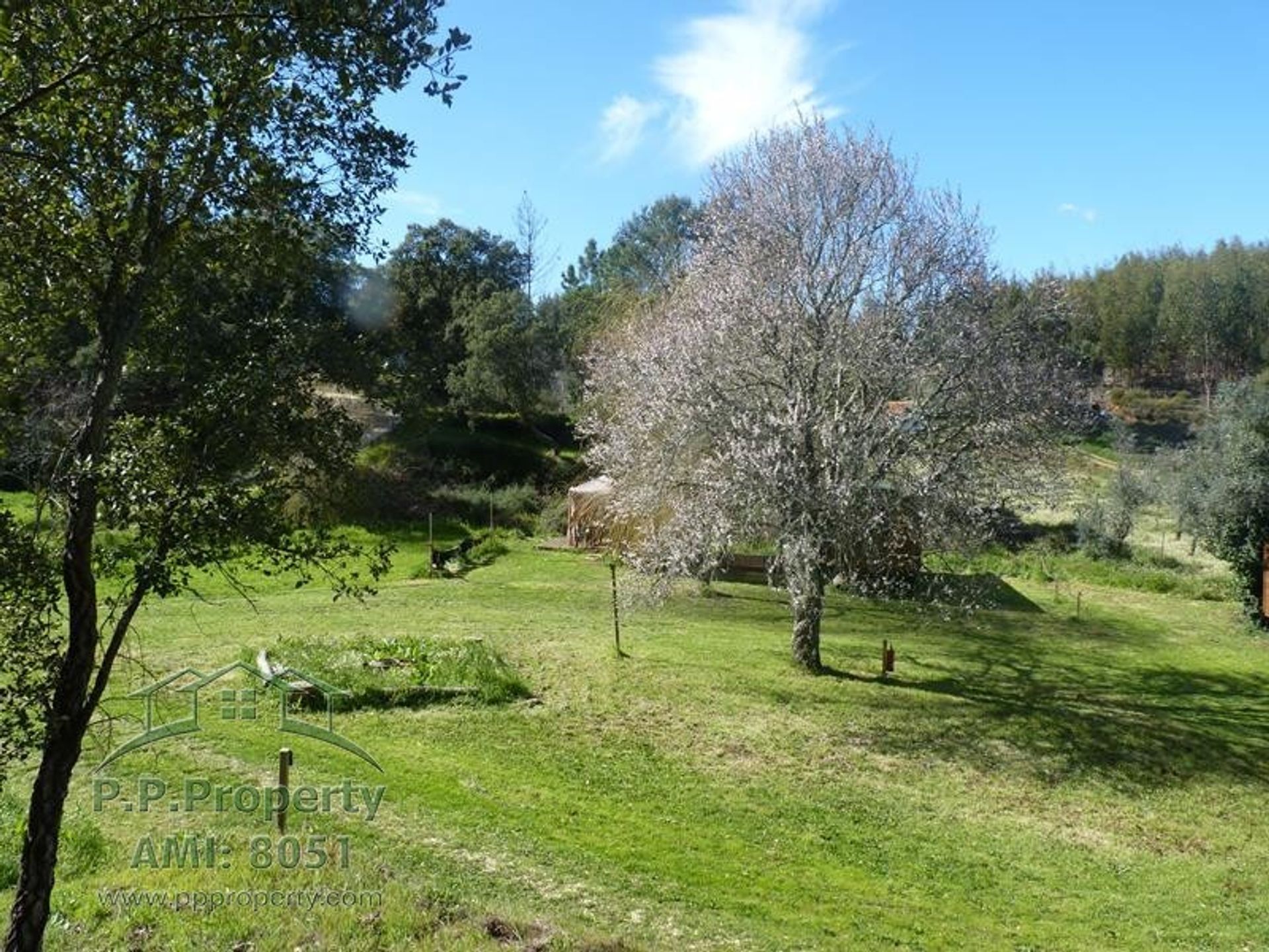 Casa nel Cernache do Bonjardim, Castelo Branco 10167936