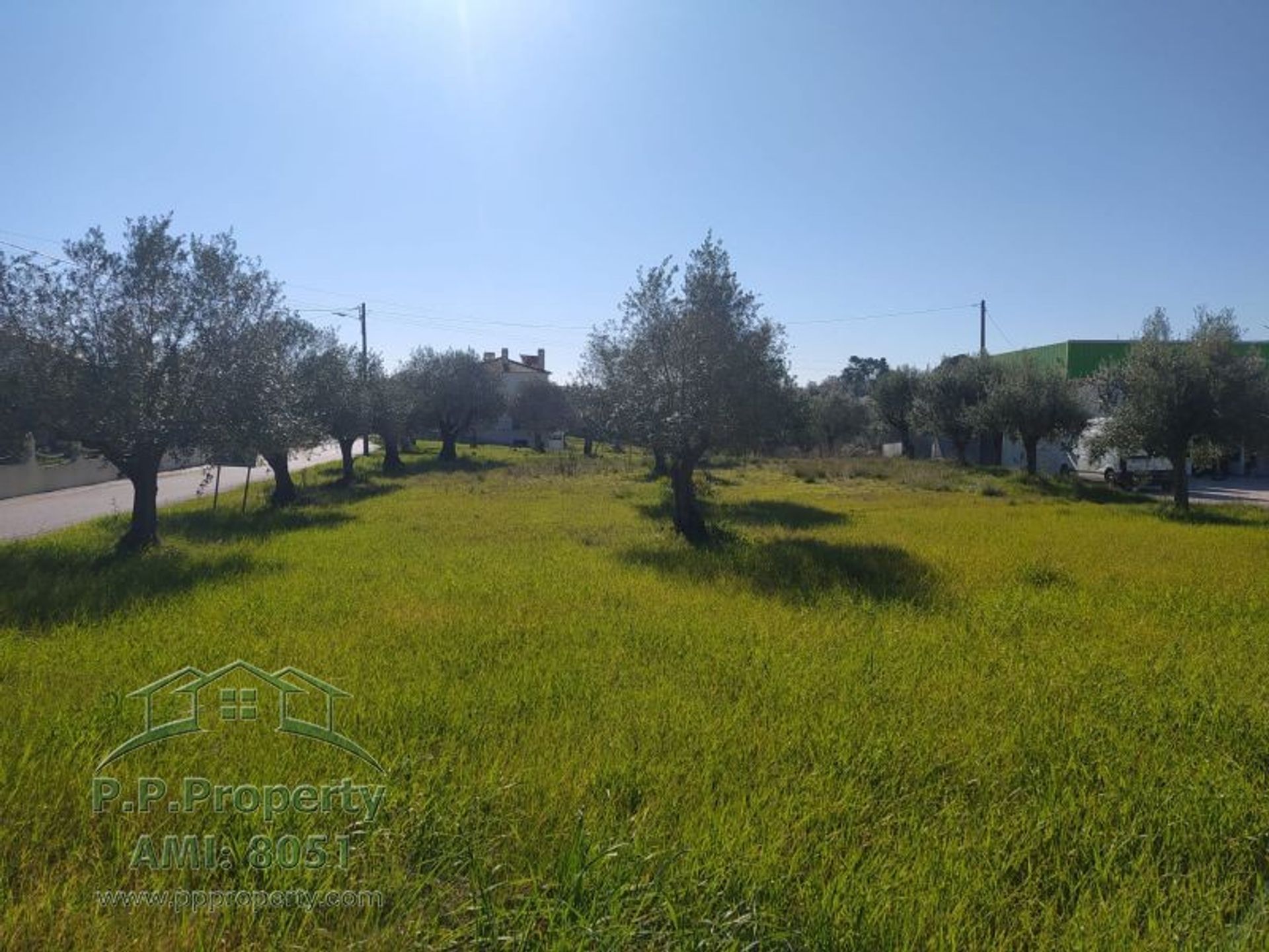 Land in Palhava, Santarem 10167997