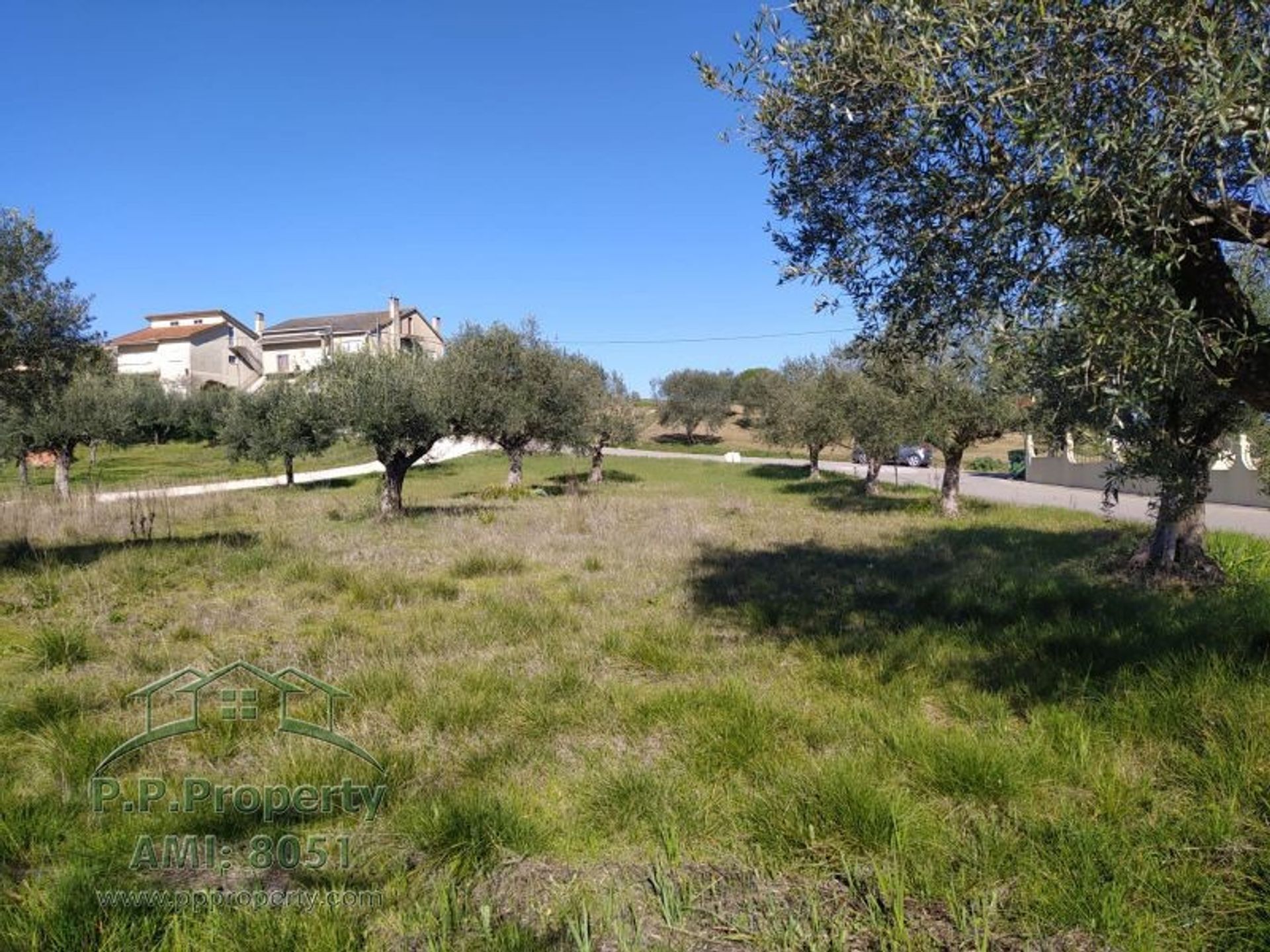 Land in Palhava, Santarem 10167997