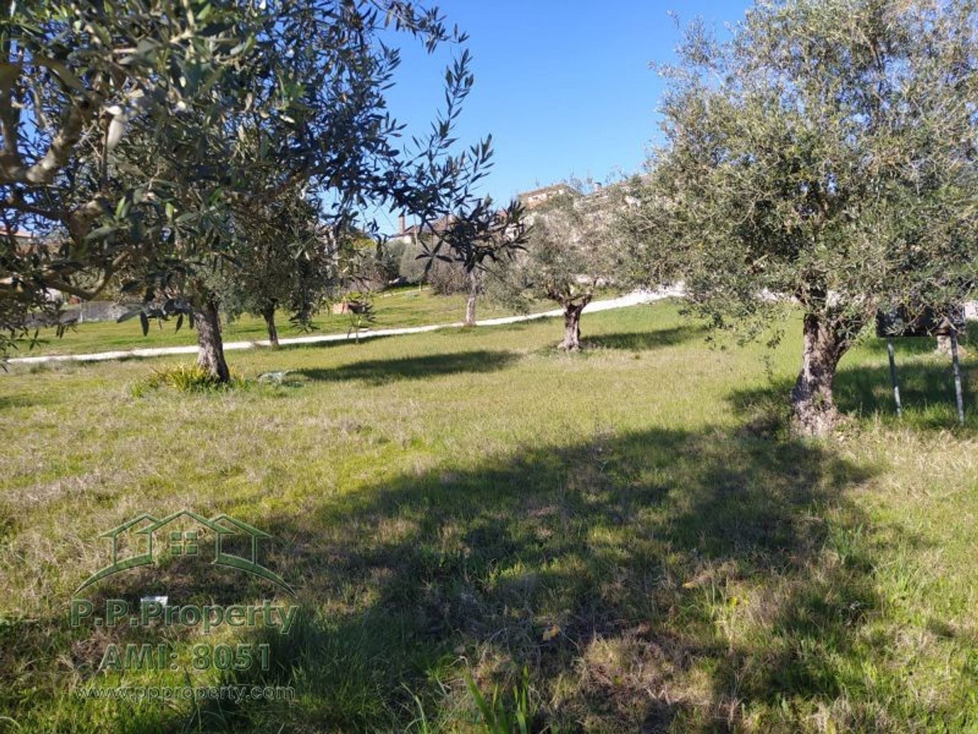 Γη σε Palhava, Σανταρέμ 10167997