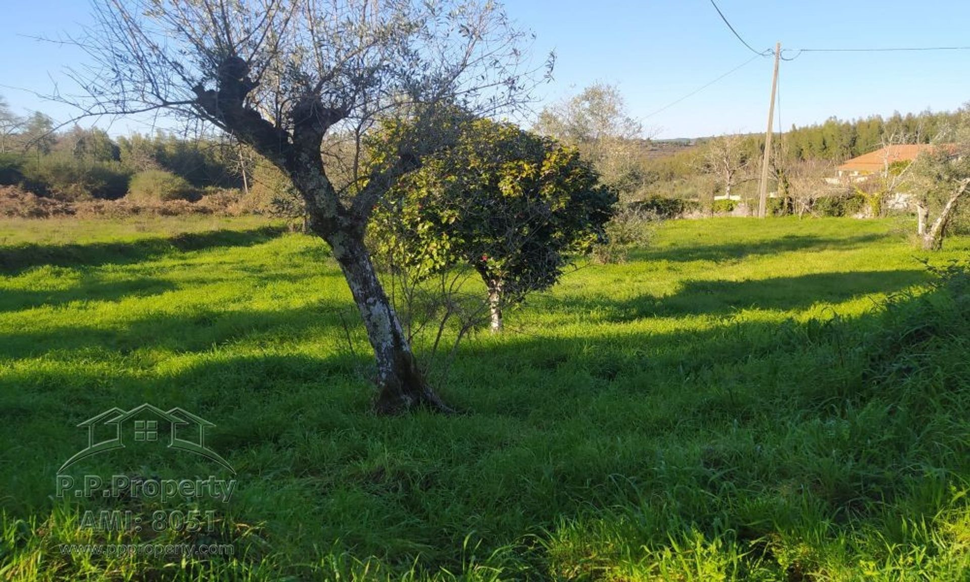 loger dans Ferreira do Zêzere, Santarém 10168000