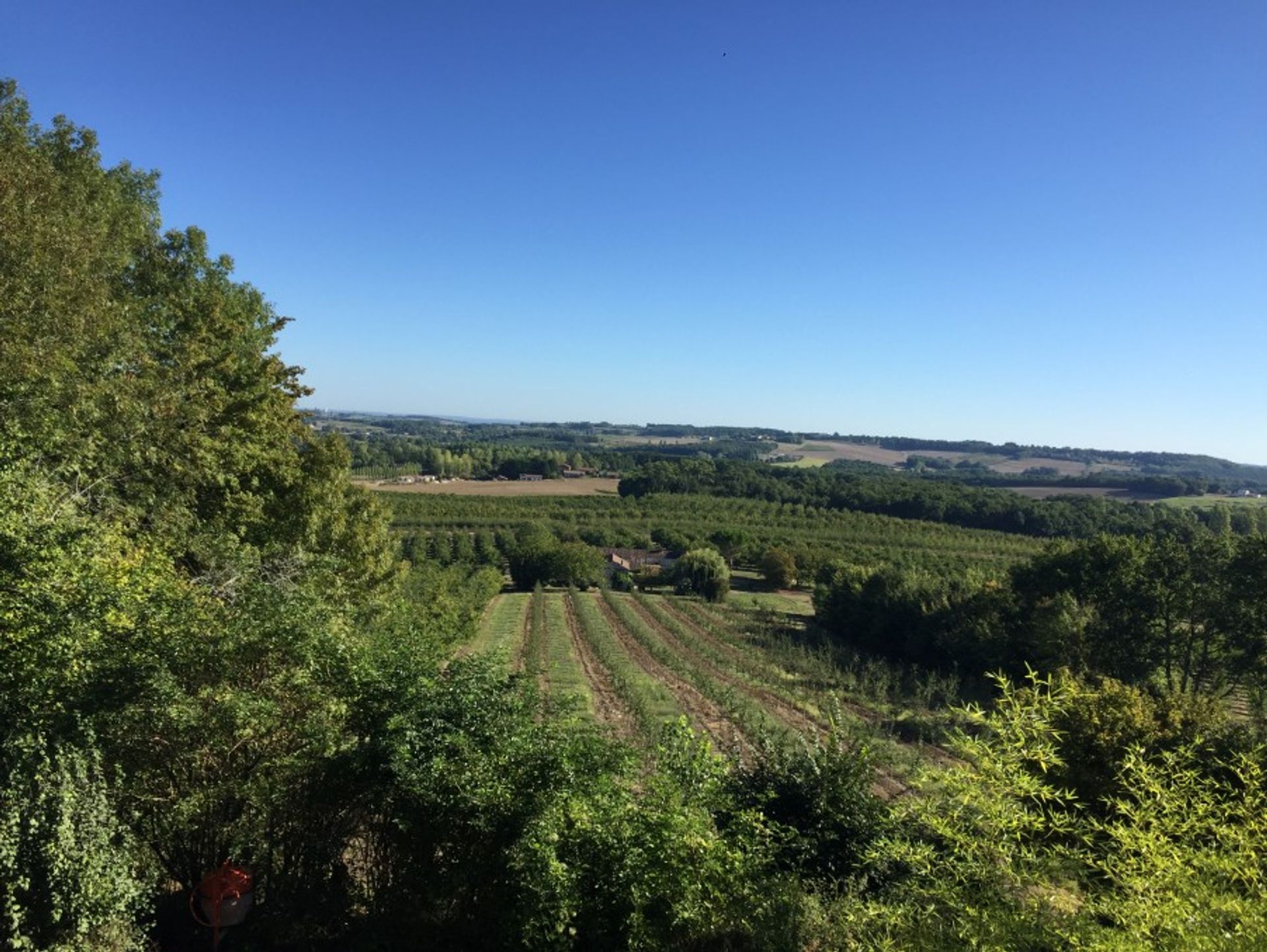 Hus i Loubes-Bernac, Nouvelle-Aquitaine 10168318