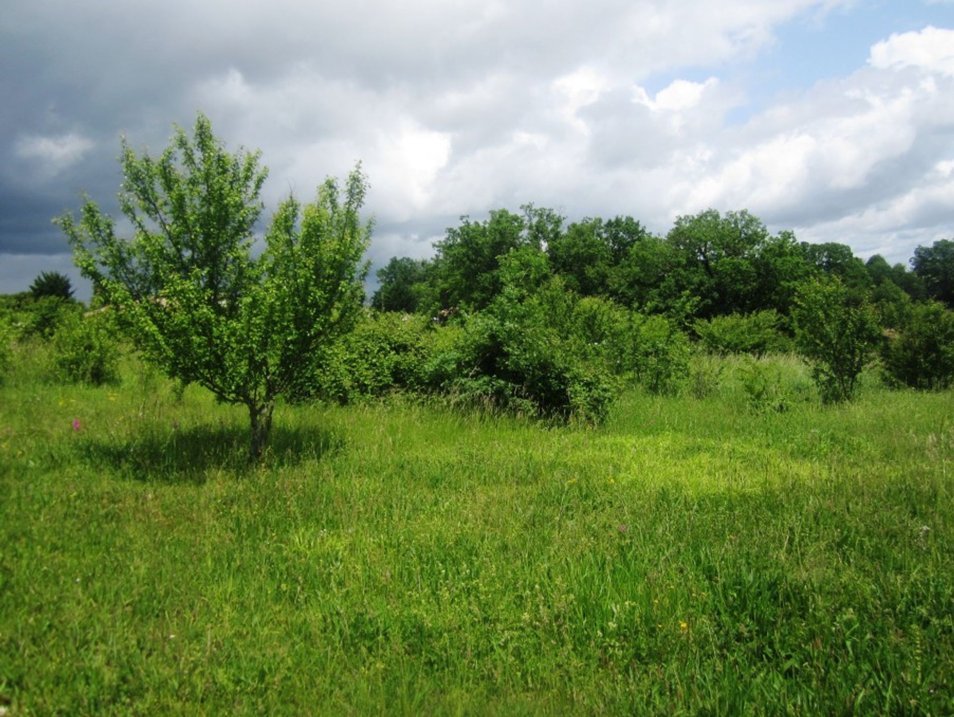 rumah dalam Cahuzac, Nouvelle-Aquitaine 10168328