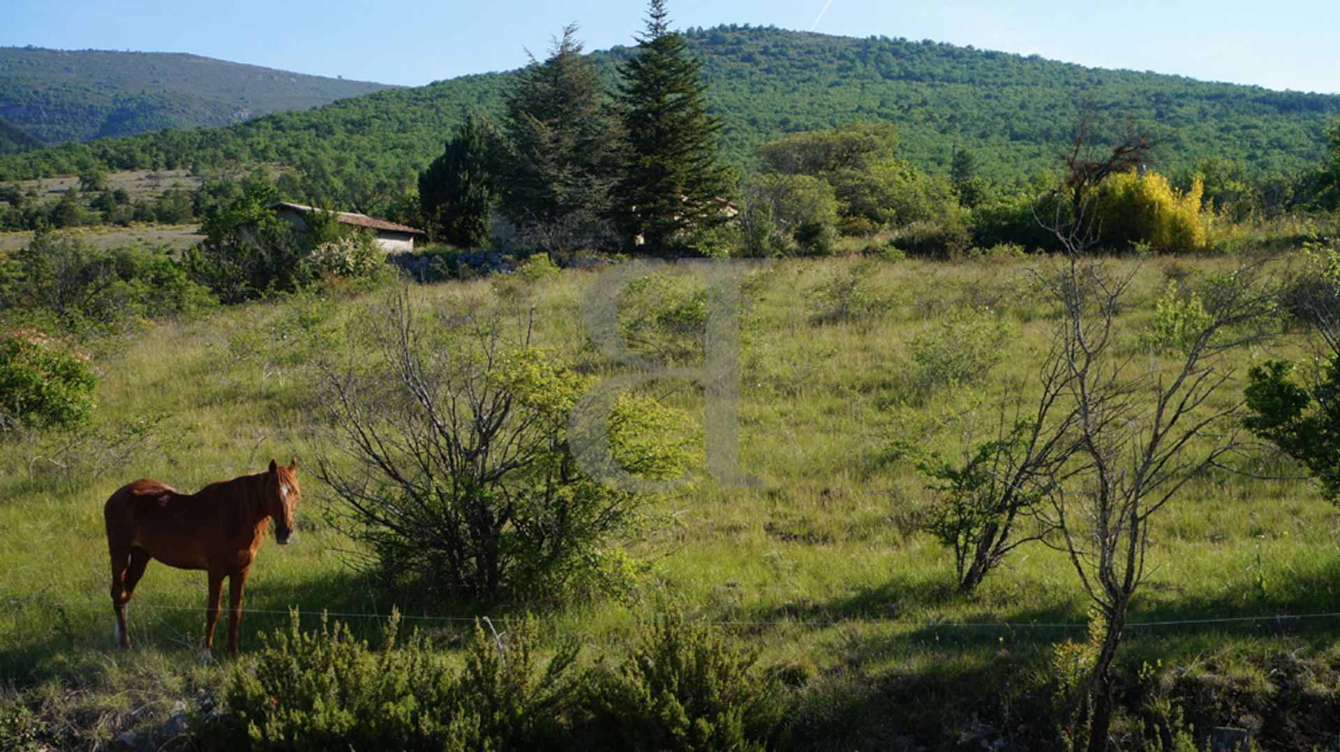 σπίτι σε Buis-les-Baronnies, Auvergne-Rhône-Alpes 10168375