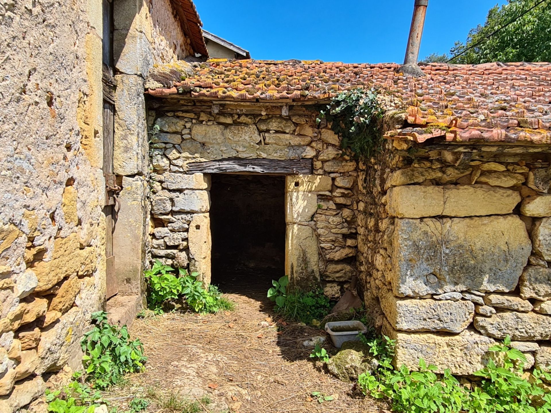 Rumah di Saint-Cyprien, Occitanie 10168381