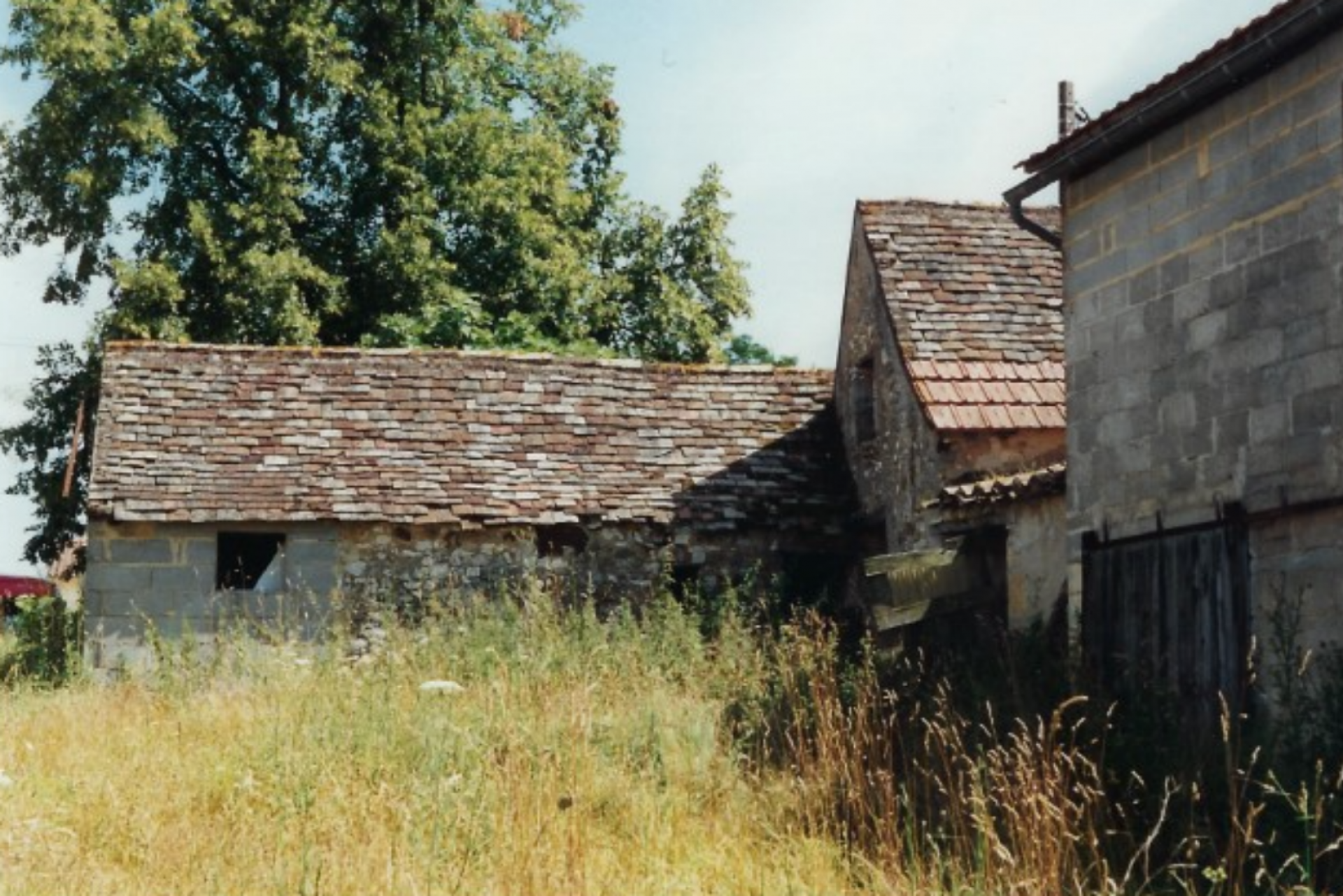 Casa nel Saint-Cyprien, Nuova Aquitania 10168388