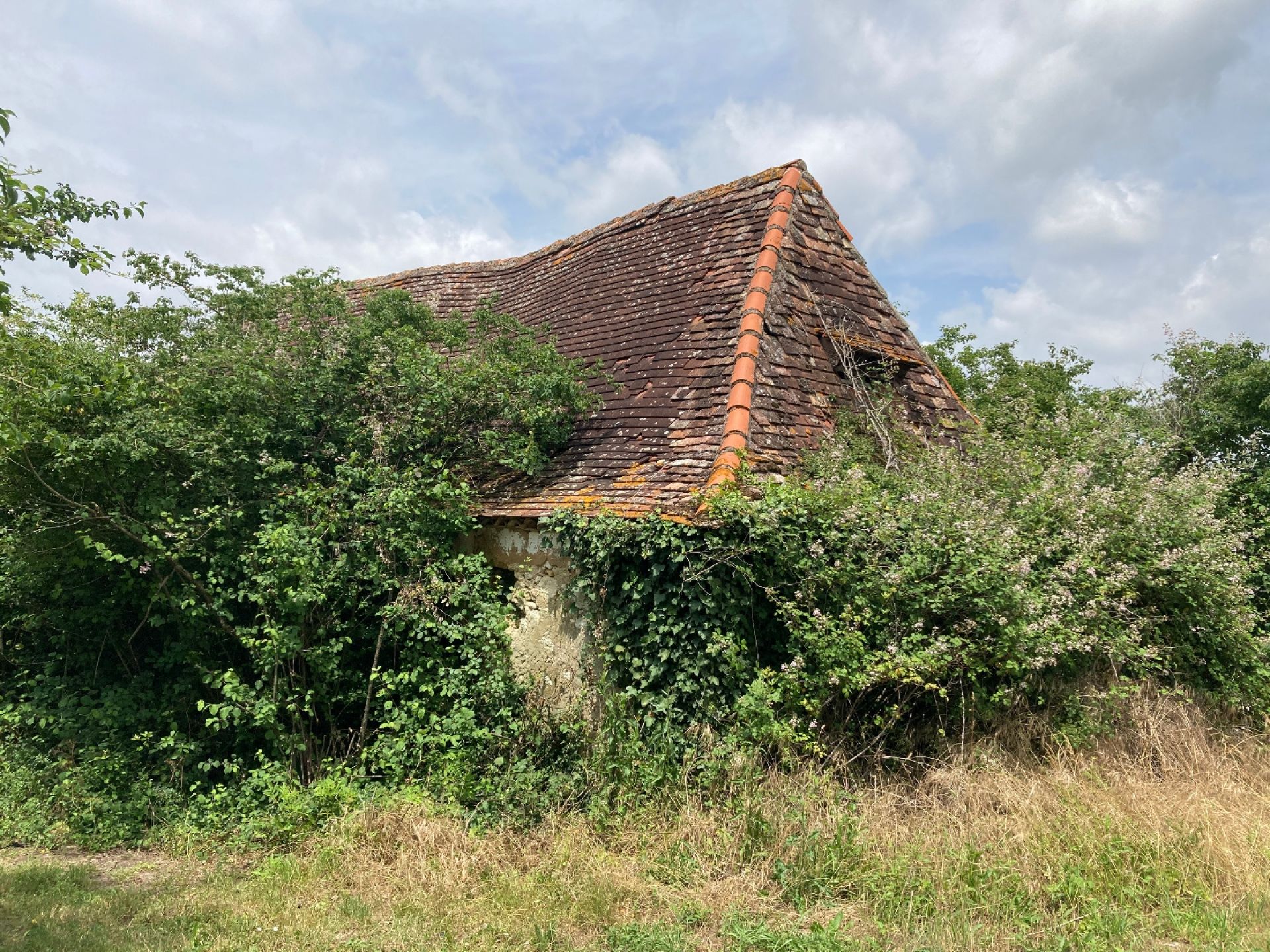 Casa nel Saint-Cyprien, Nuova Aquitania 10168388