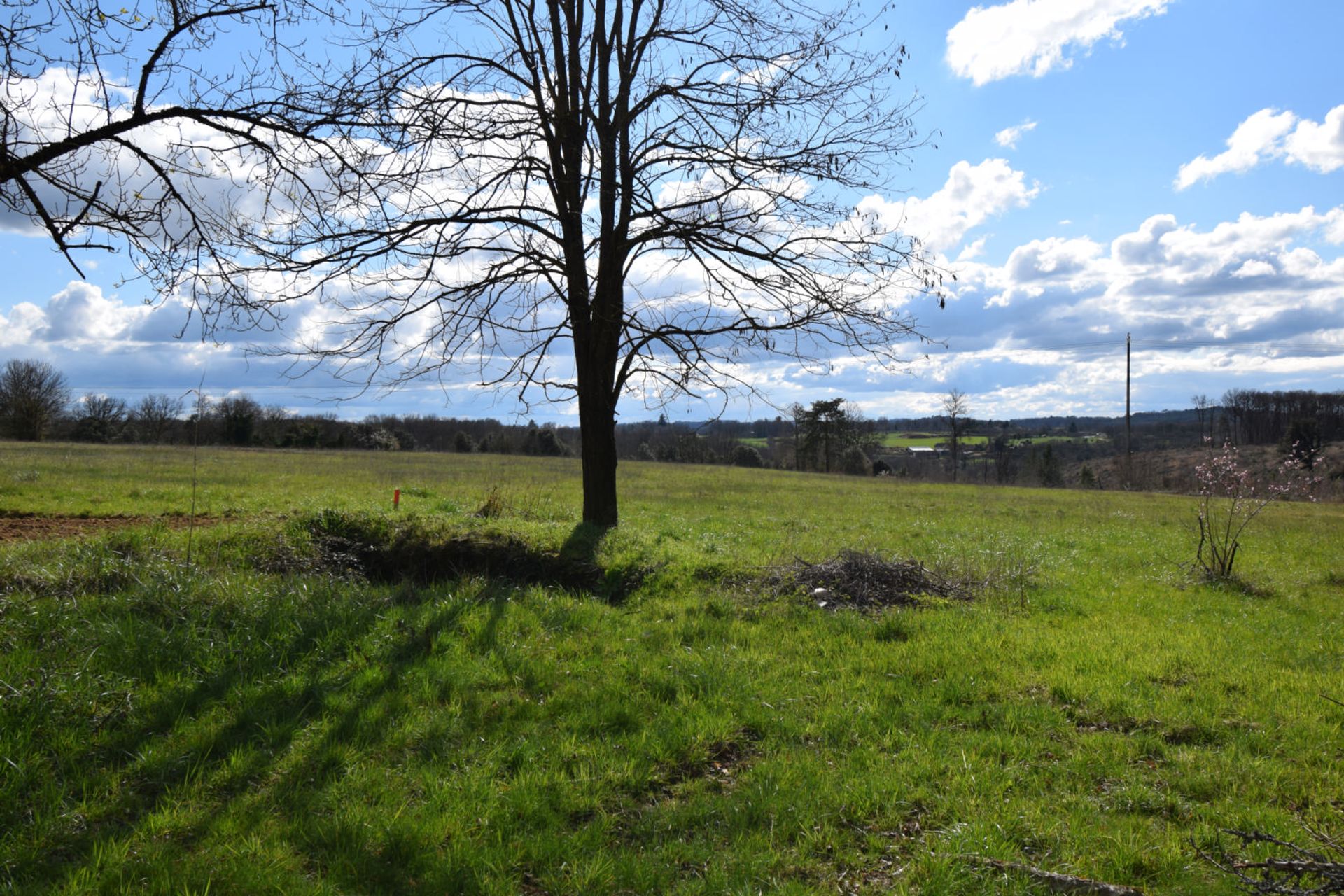 Haus im Saint-Cyprien, Nouvelle-Aquitaine 10168416